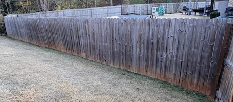 2 year old fence showing mold, graying, and rotting