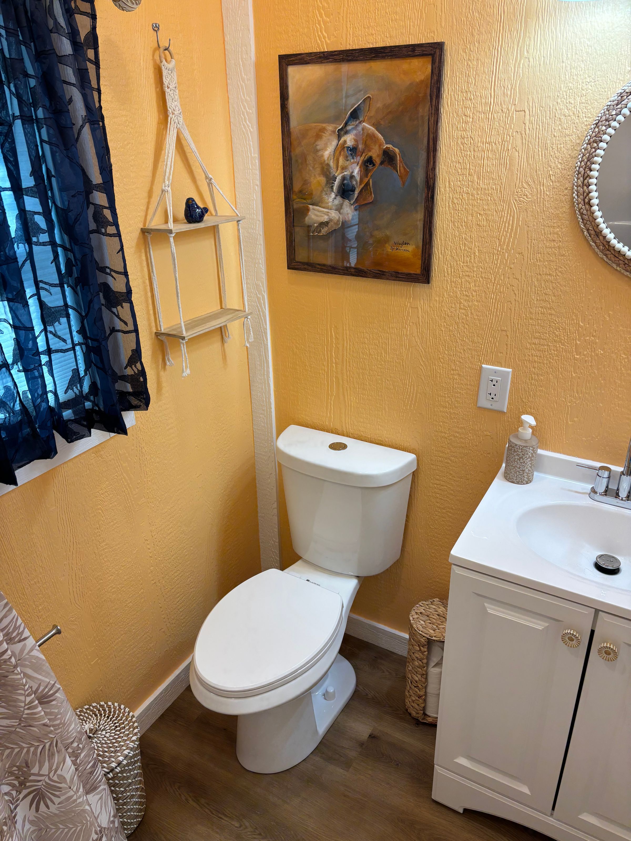 Texas Outdoor's image