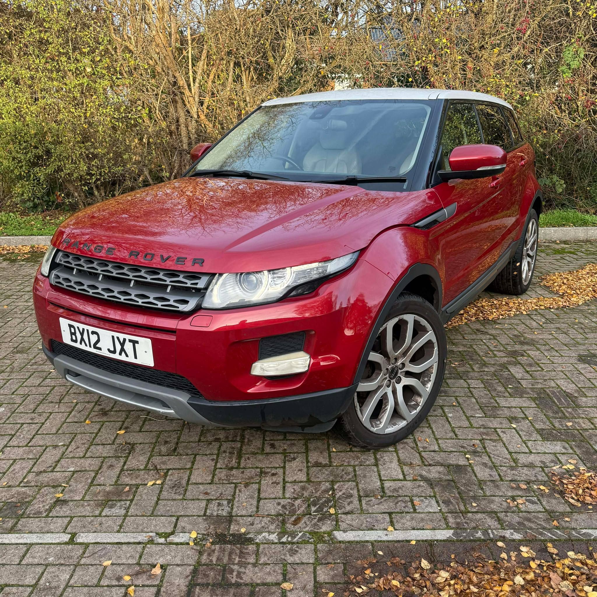 Halo    Motor's image