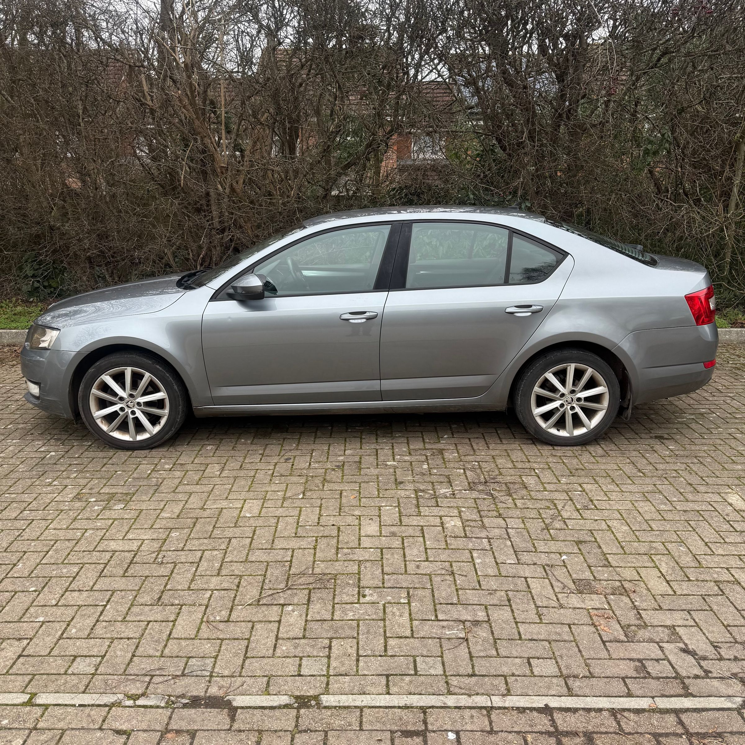 Halo    Motor's image