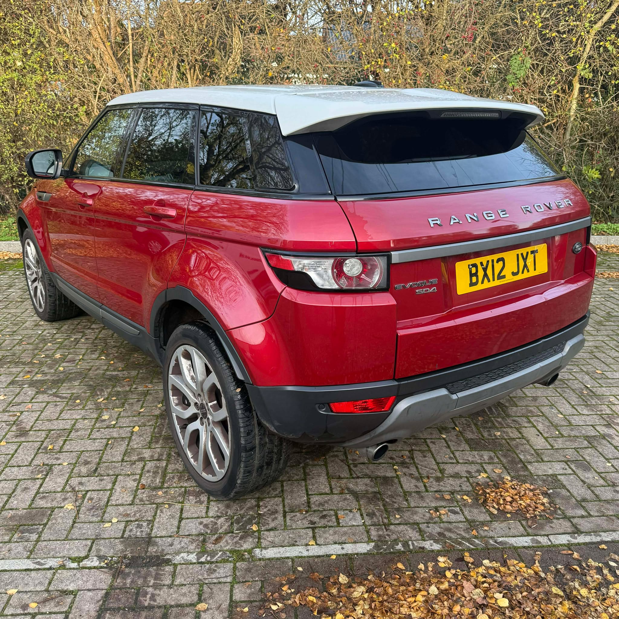 Halo    Motor's image