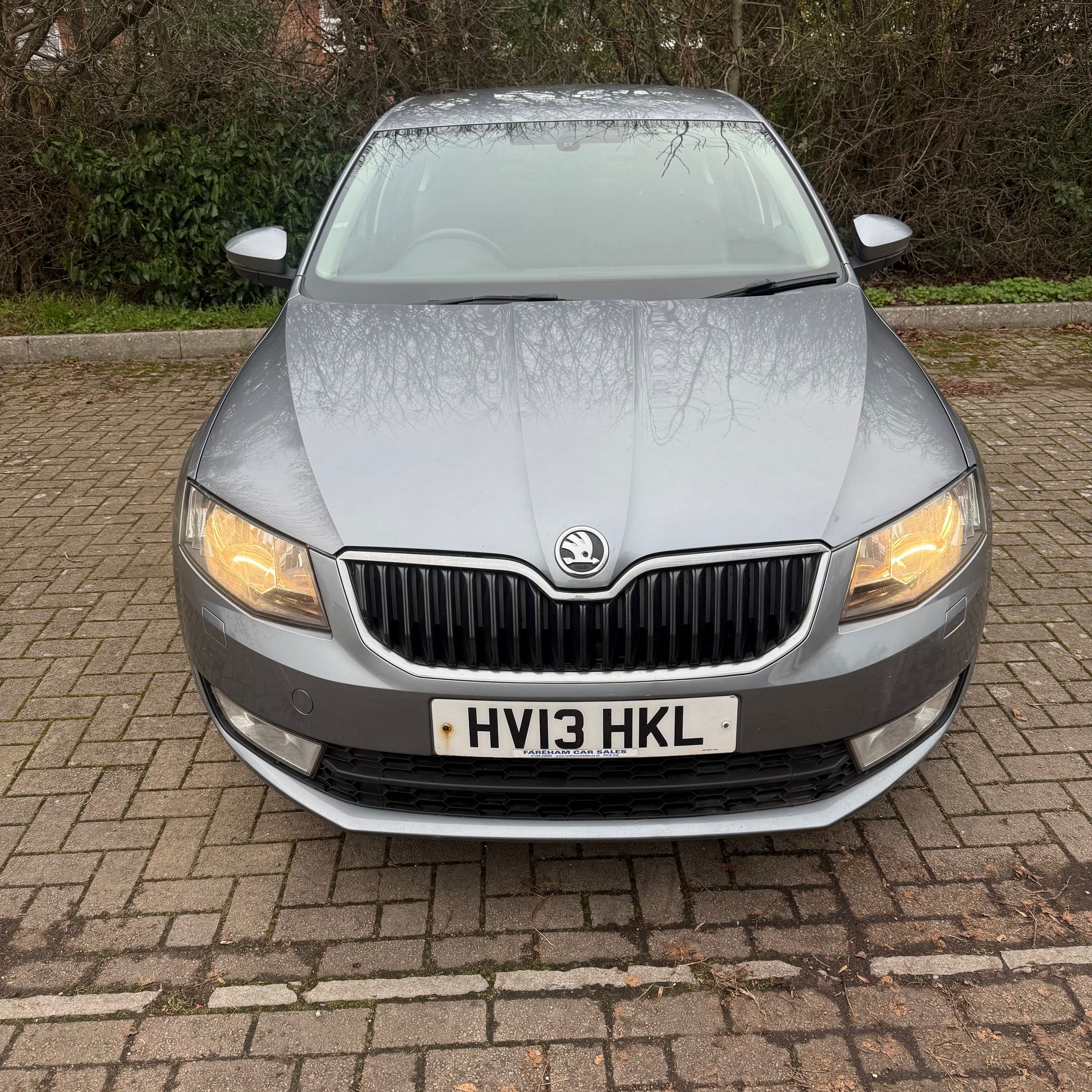 Halo    Motor's image