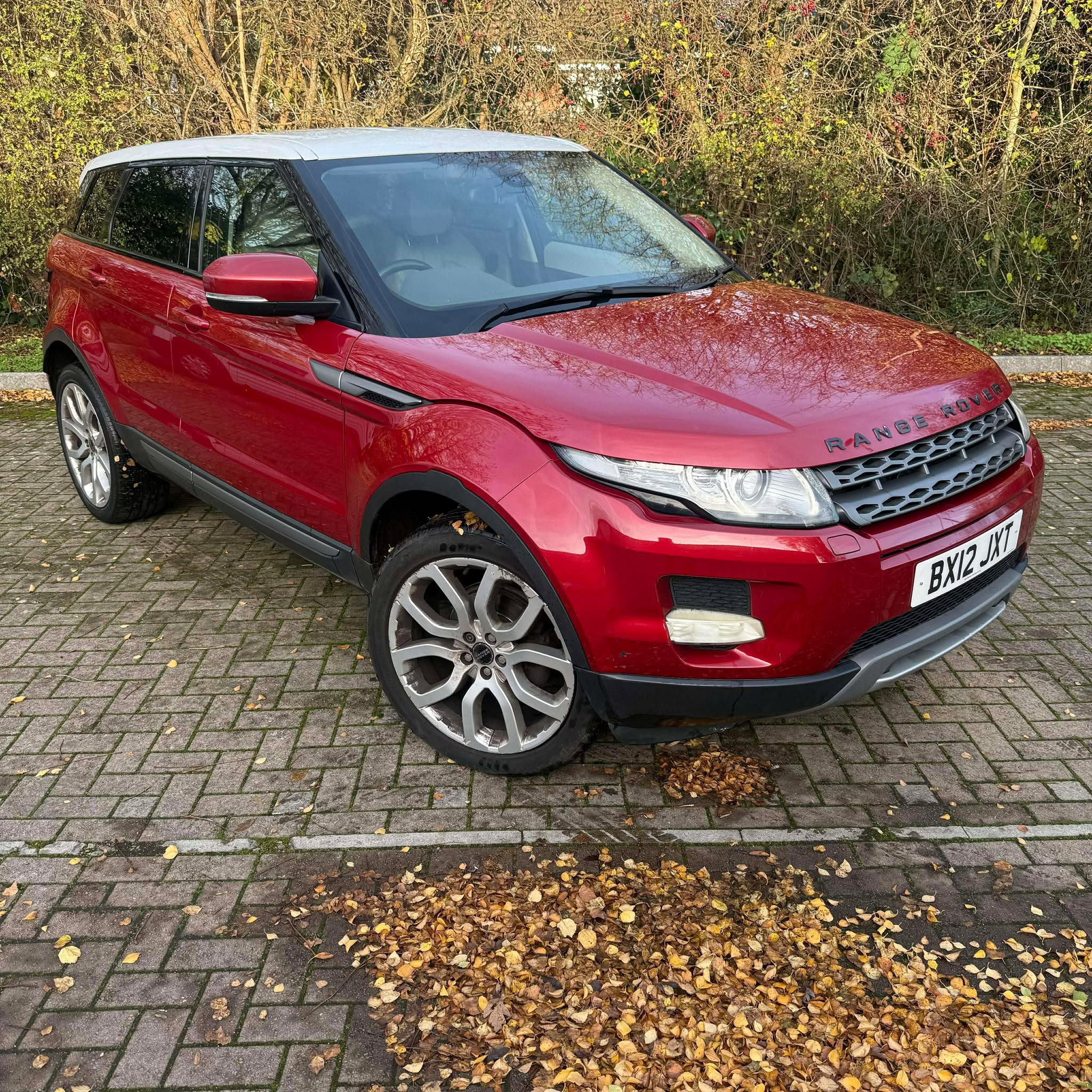 Halo    Motor's image