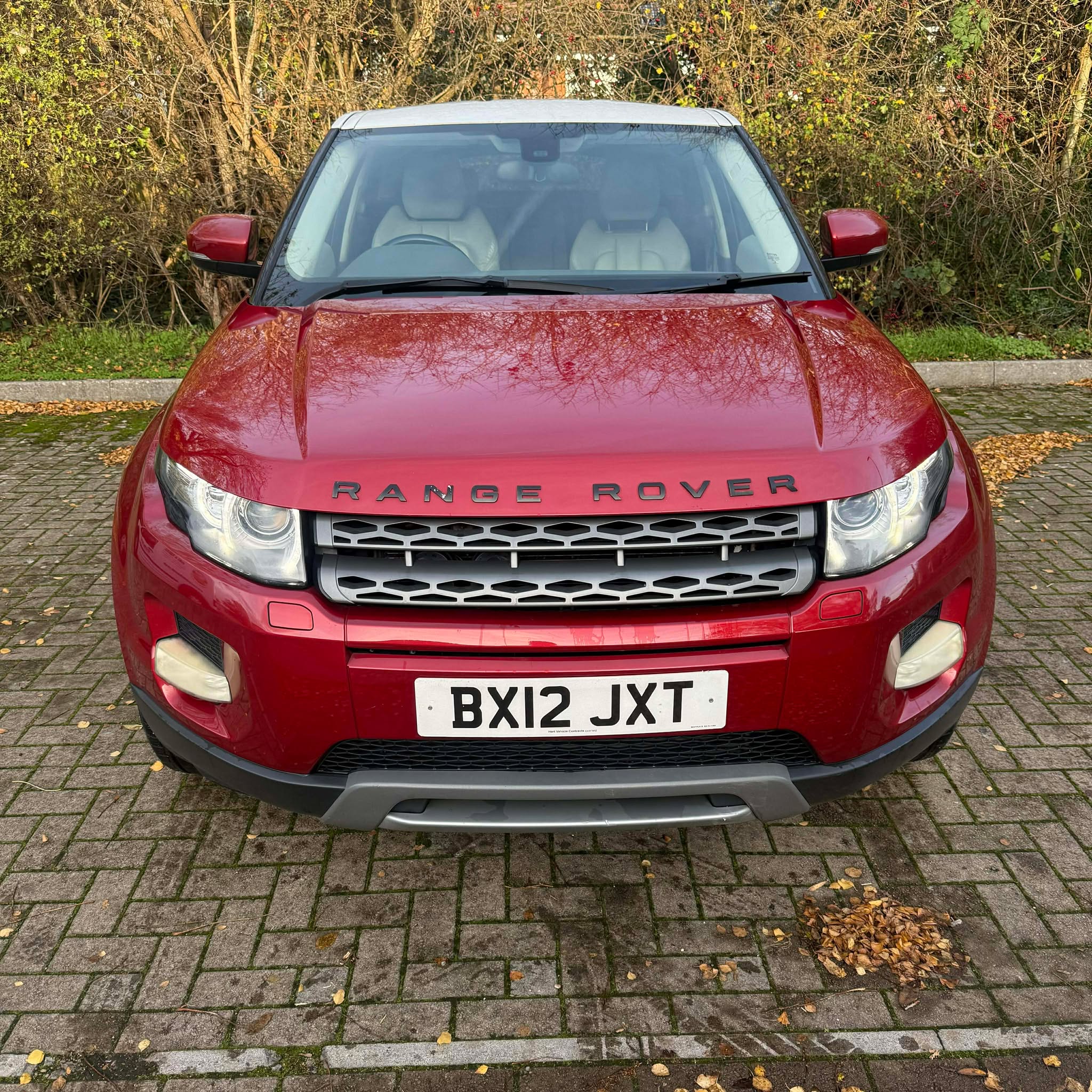 Halo    Motor's image