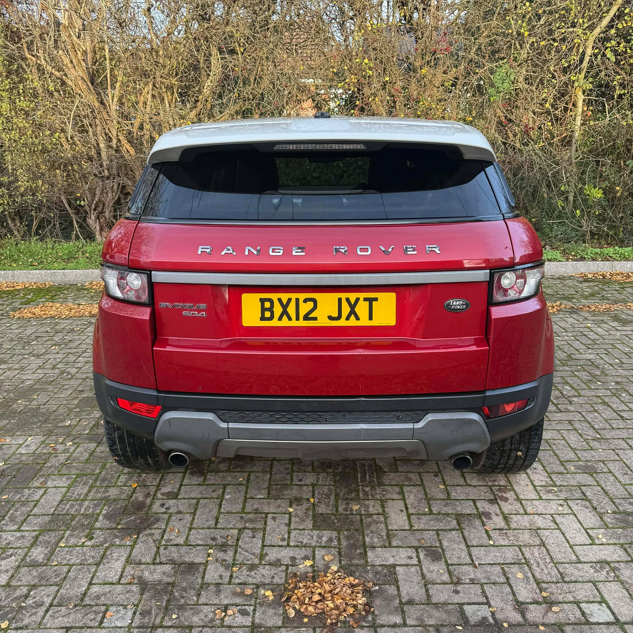 Halo    Motor's image