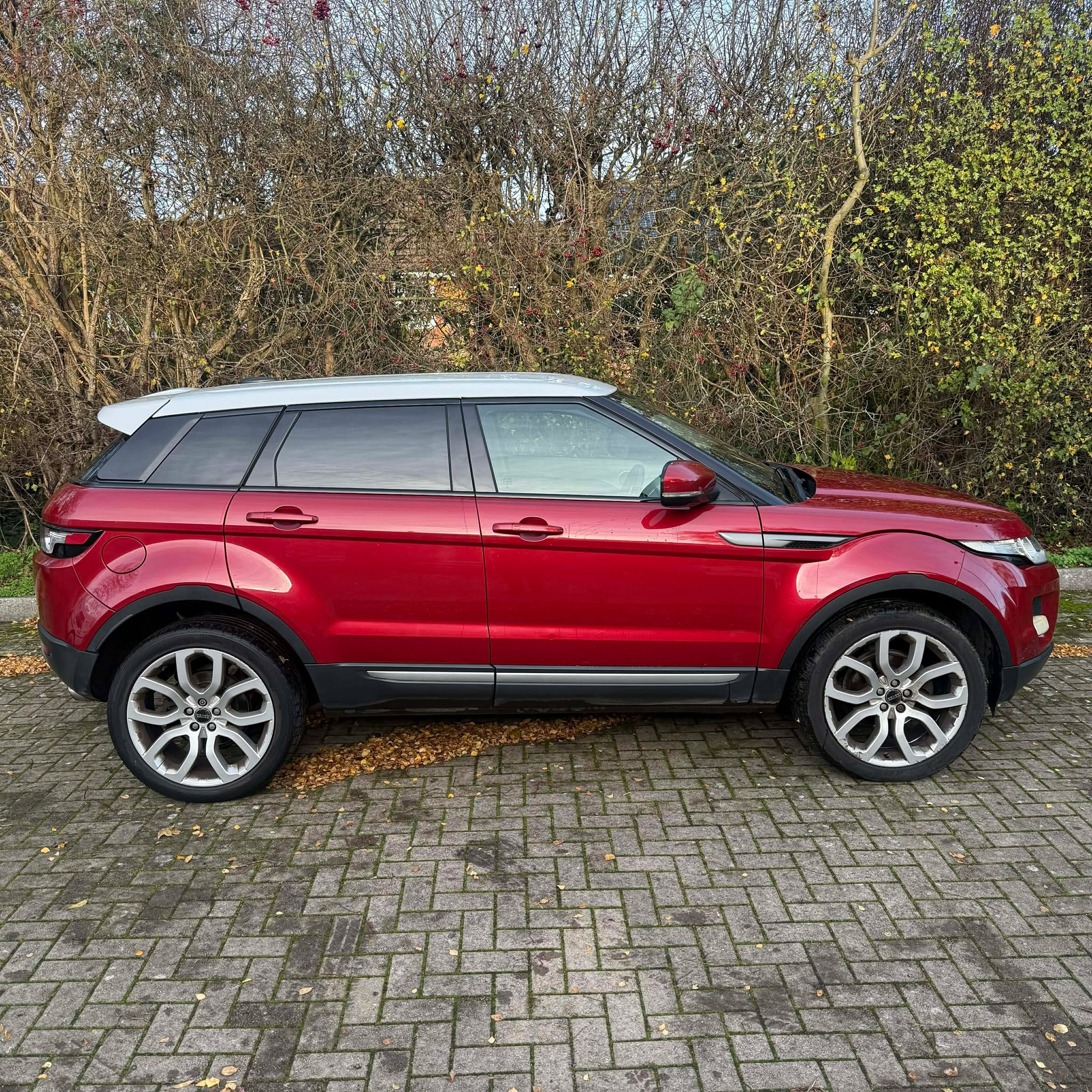 Halo    Motor's image