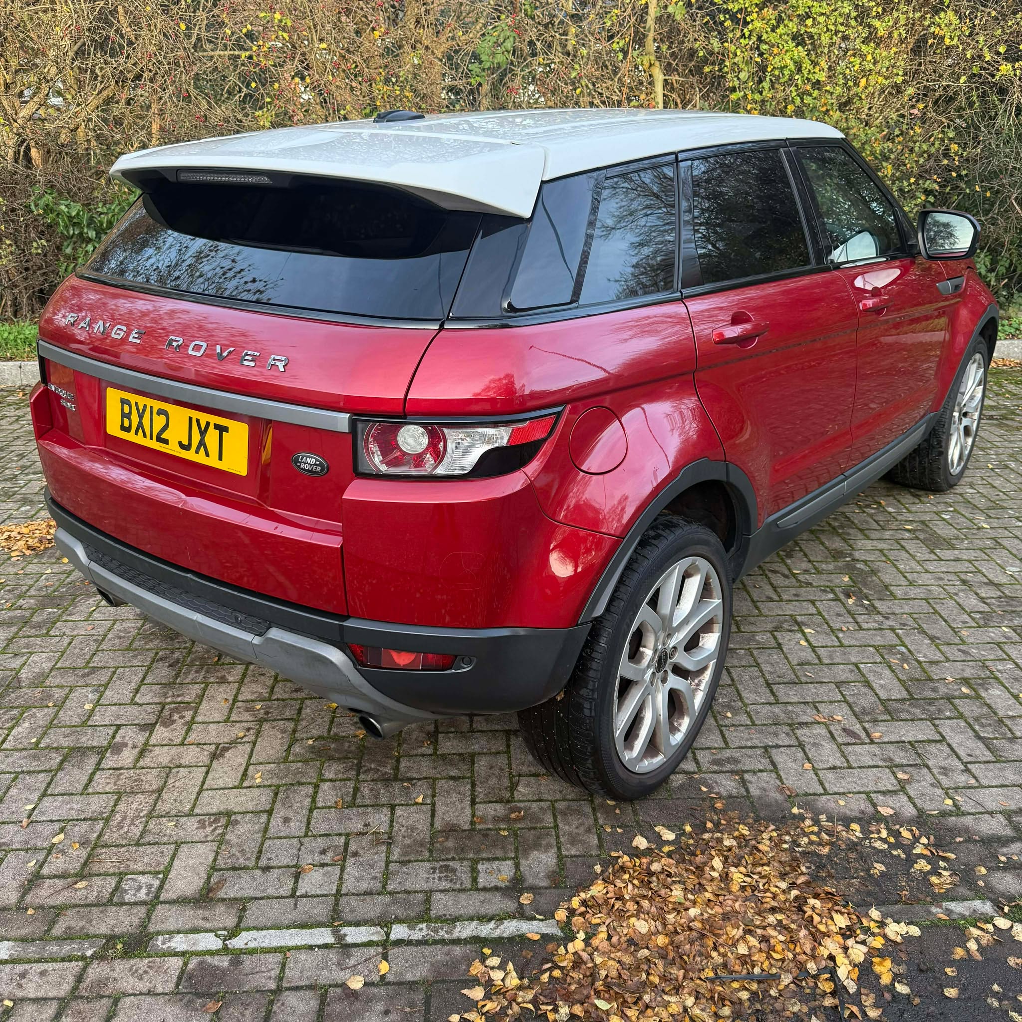 Halo    Motor's image