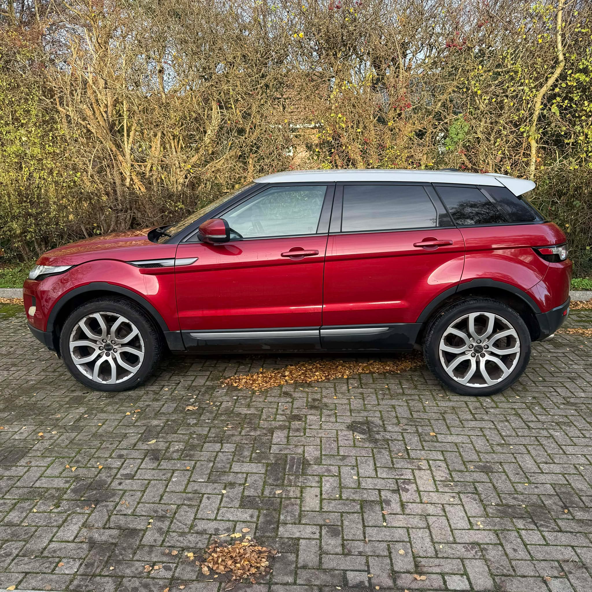 Halo    Motor's image