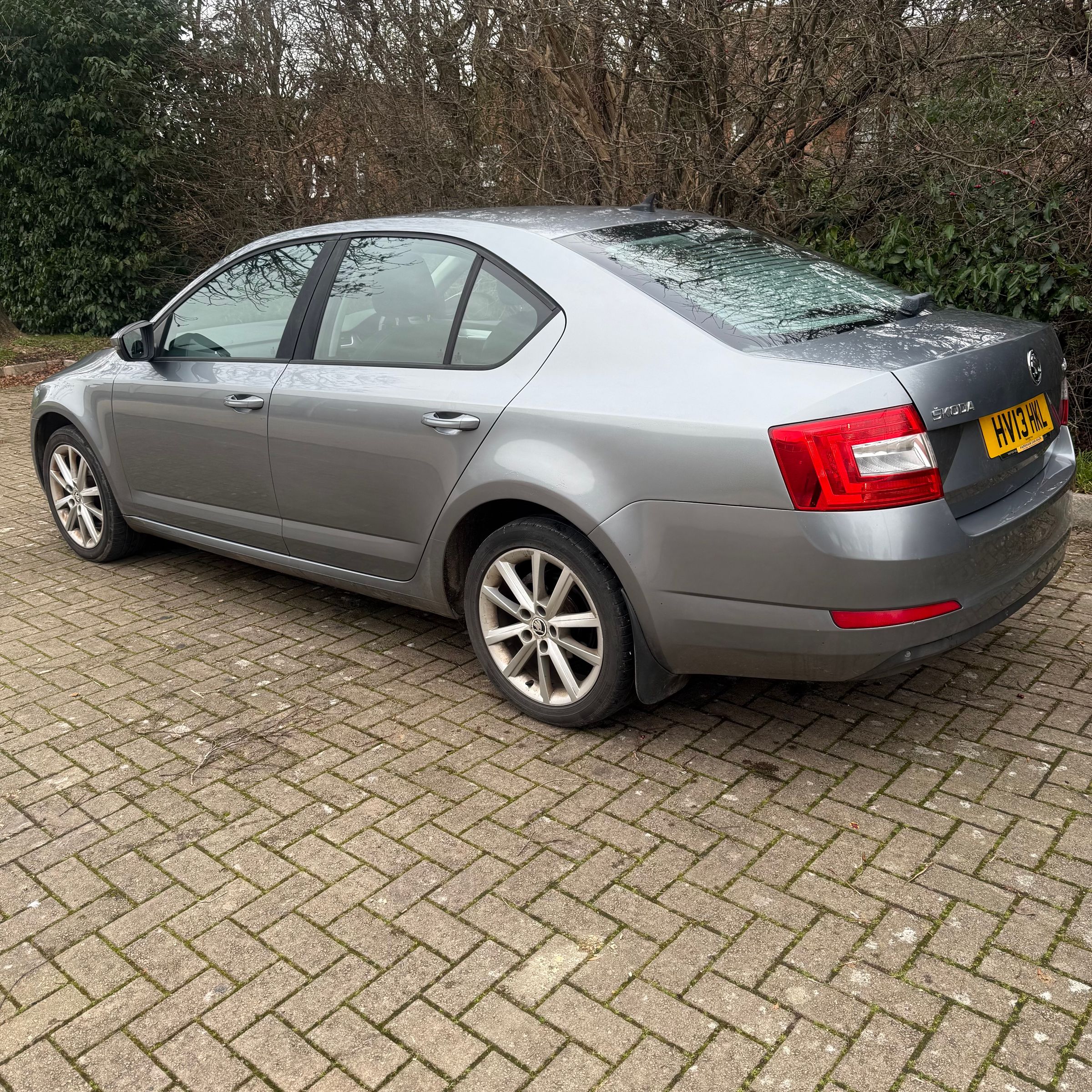 Halo    Motor's image