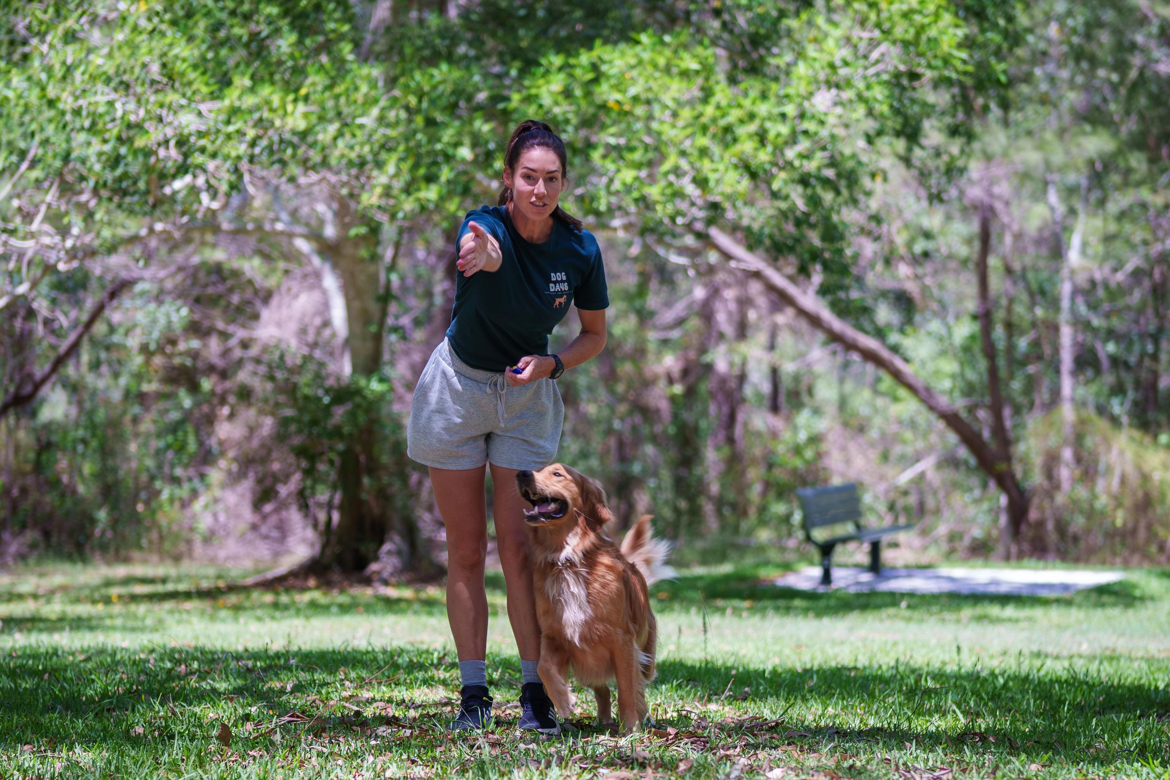 Dog Days Training and Adventure's image