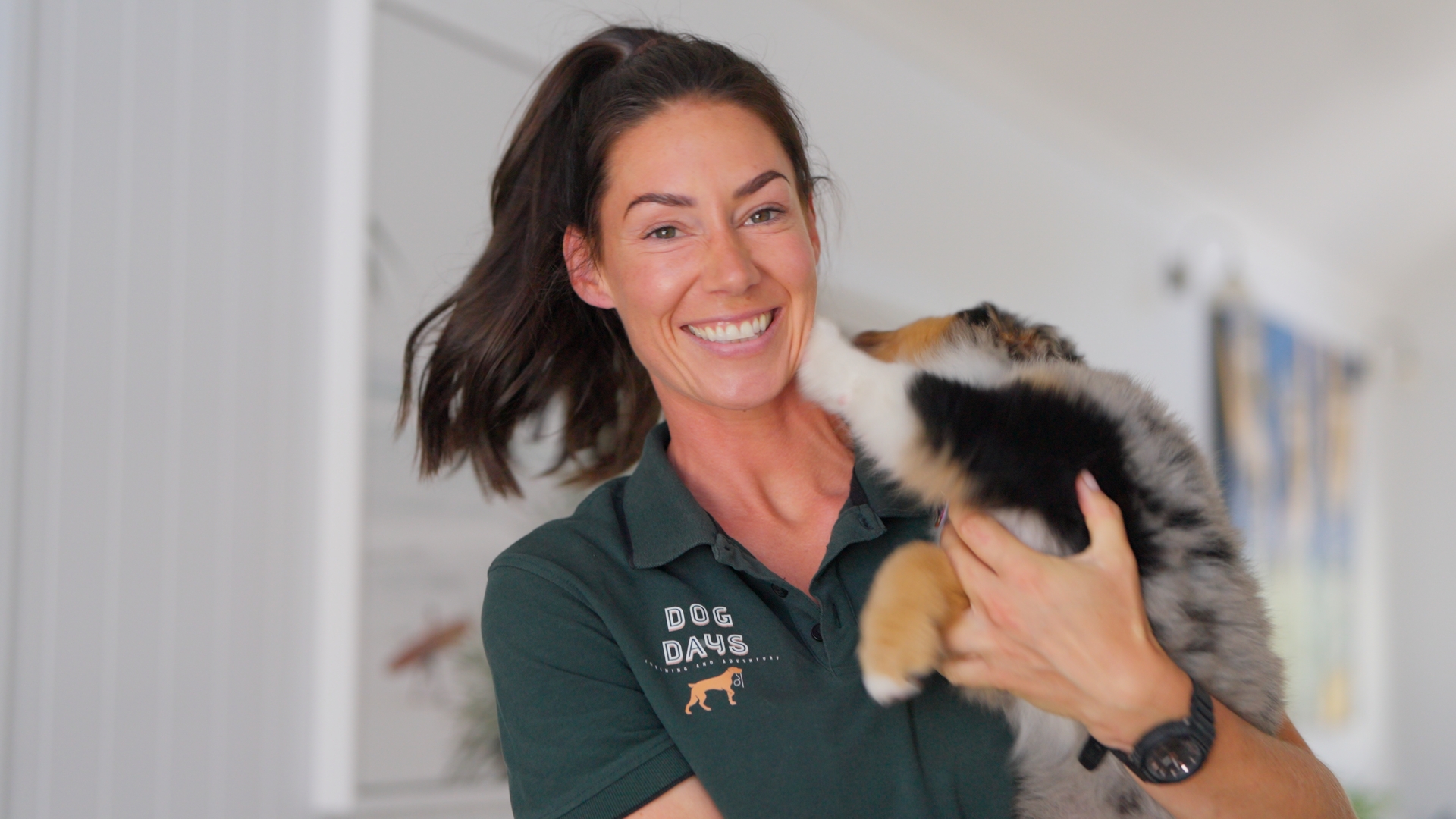 Dog Days Training and Adventure's image