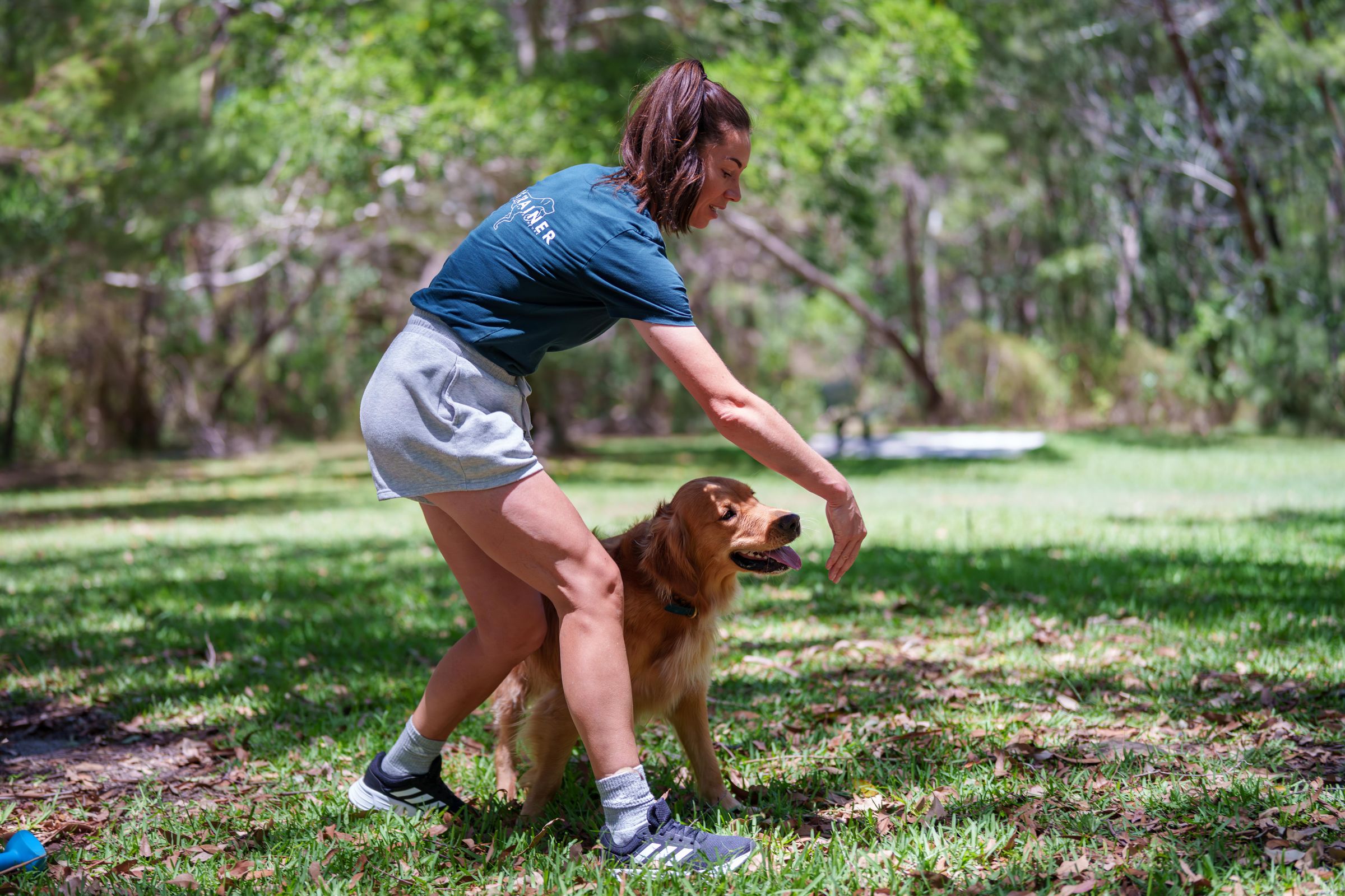 Dog Days Training and Adventure's image