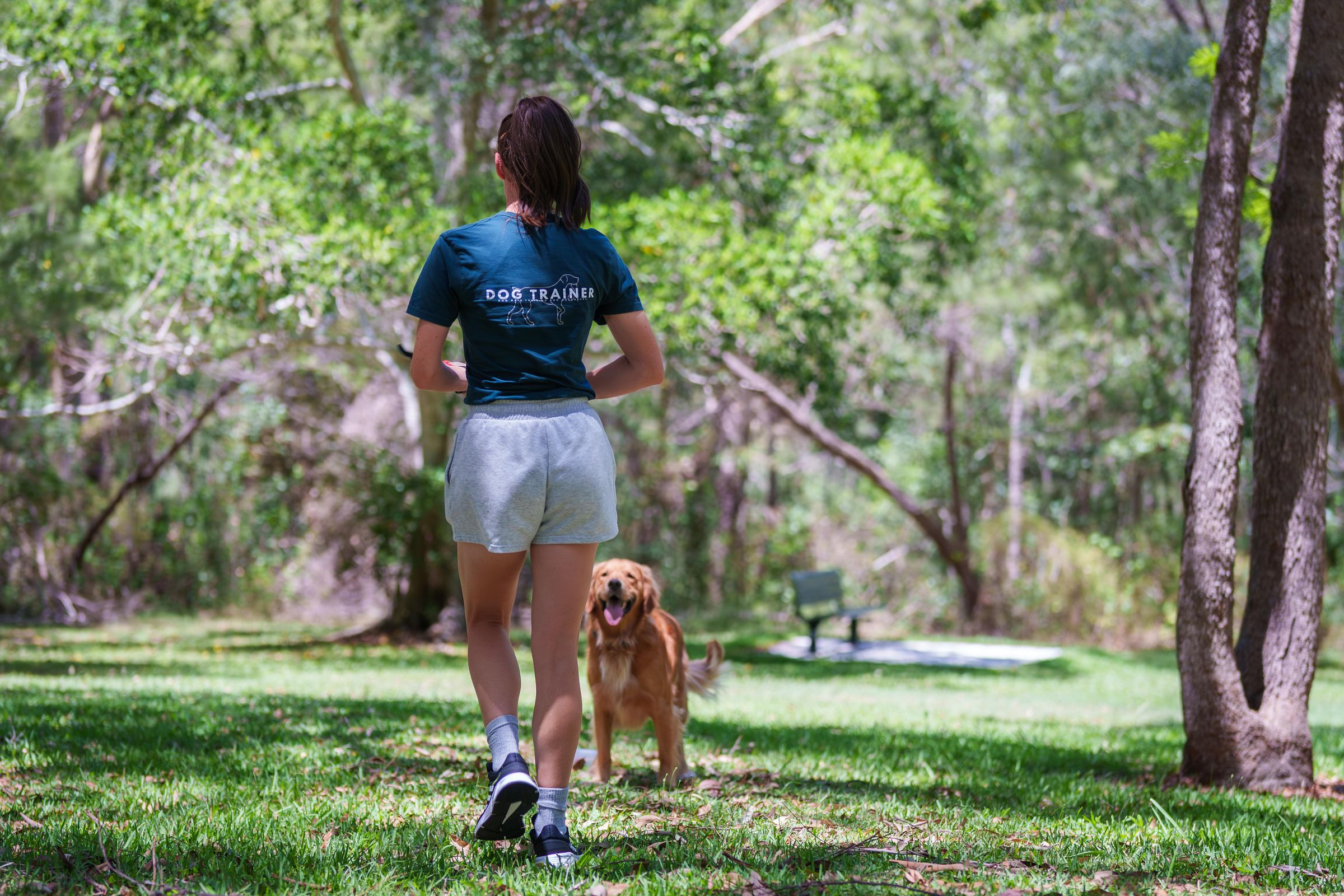 Dog Days Training and Adventure's image