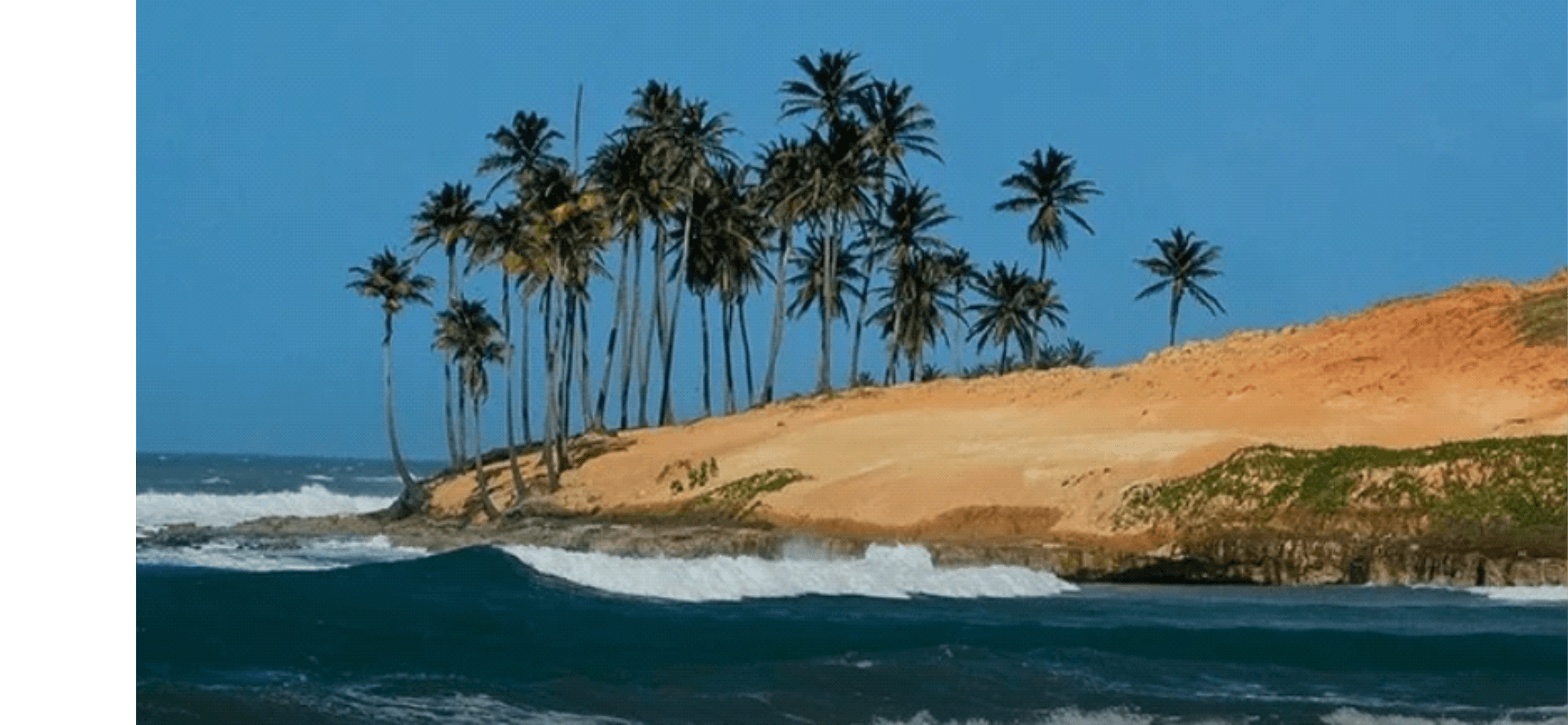 Canaver Beach Club's image