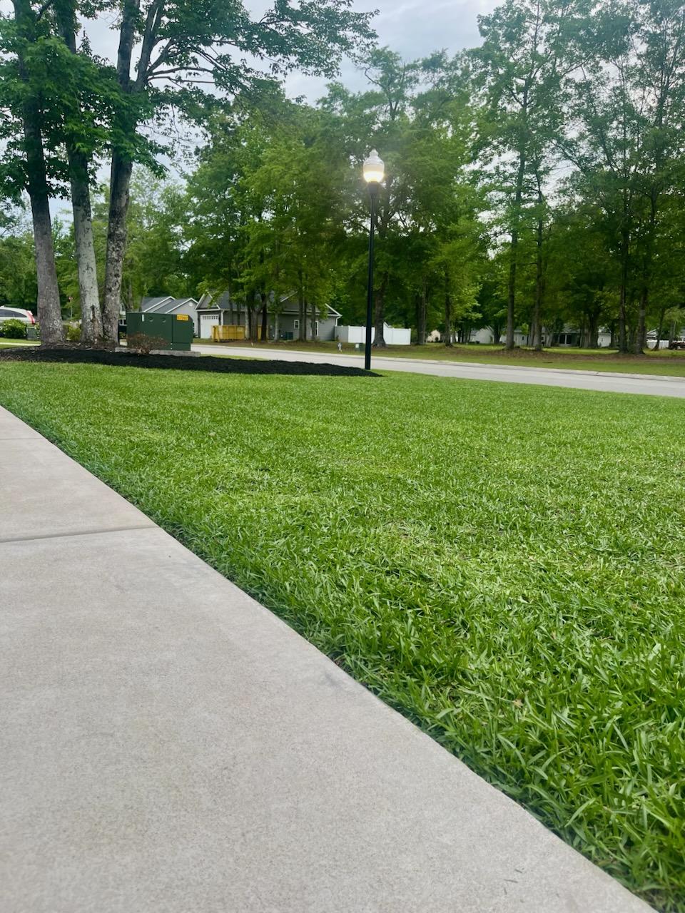 patriot lawn llc's image