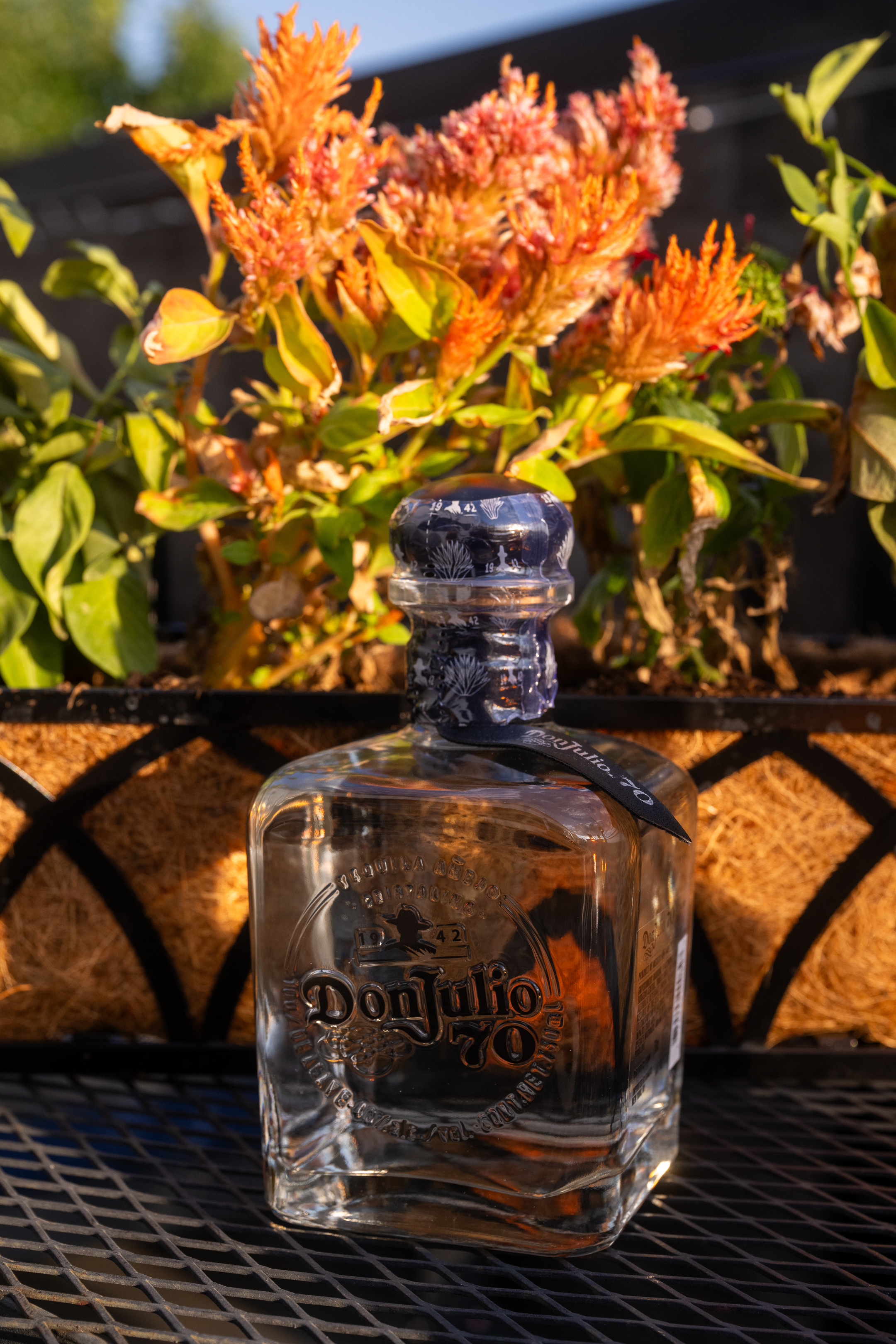 Rare Karaoke Cafe's image