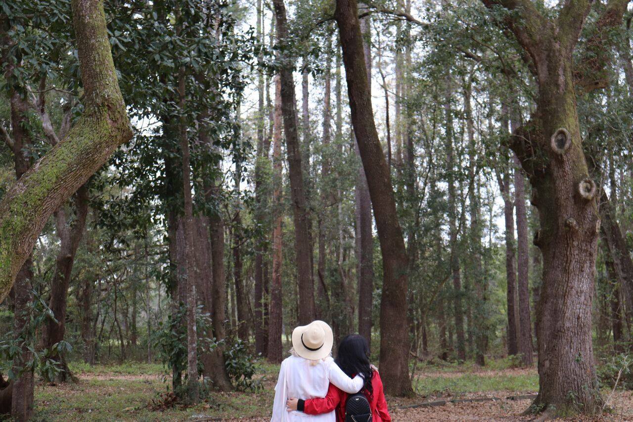 Phyllis Grant's image