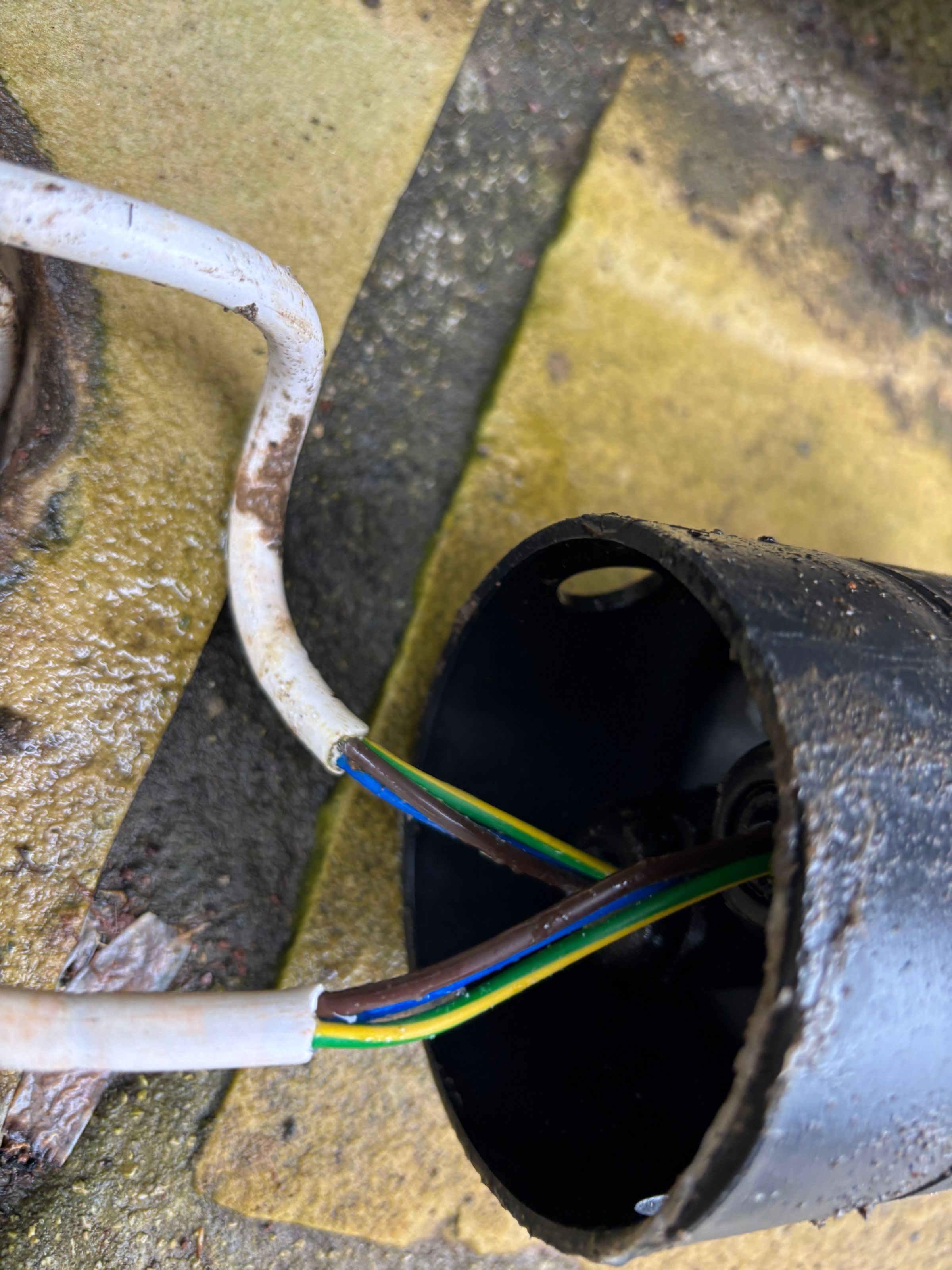 FIREWIRE FSE's image