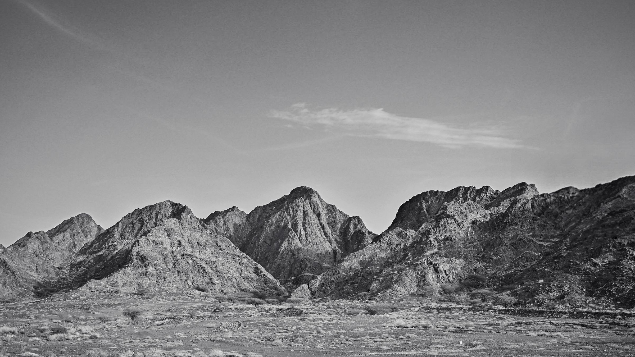 SPV Creations's image