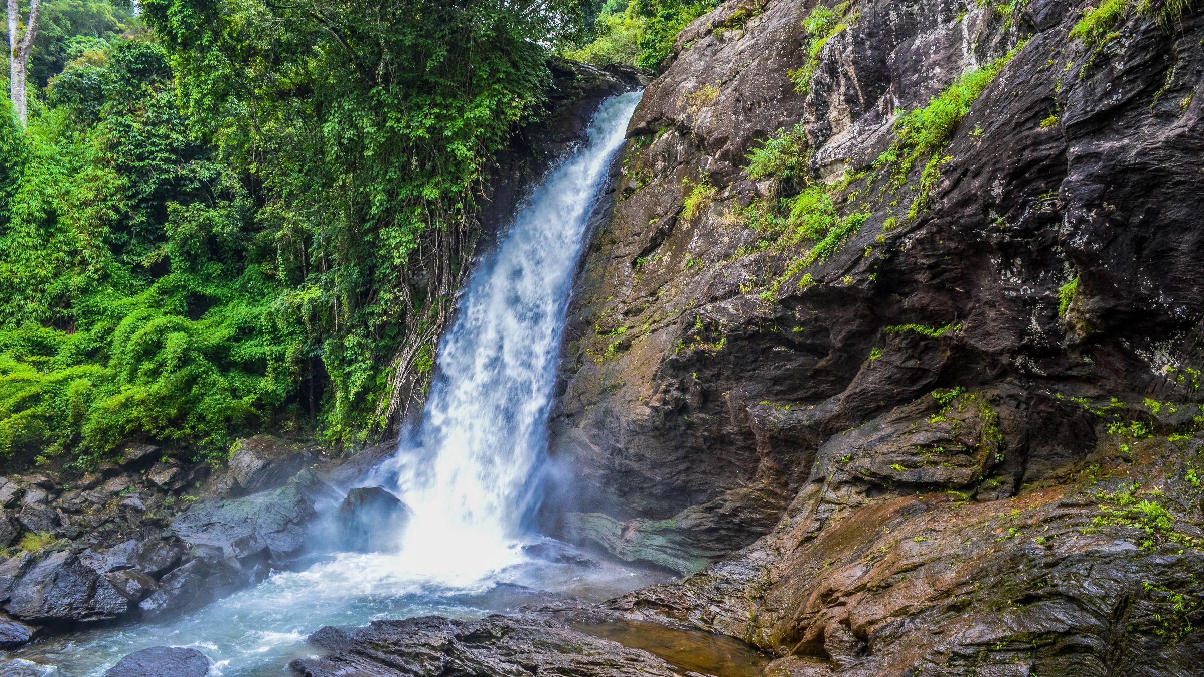 A waterfall painting life into the rocks. (Soochipara Waterfalls, Wayanad, Kerala)
