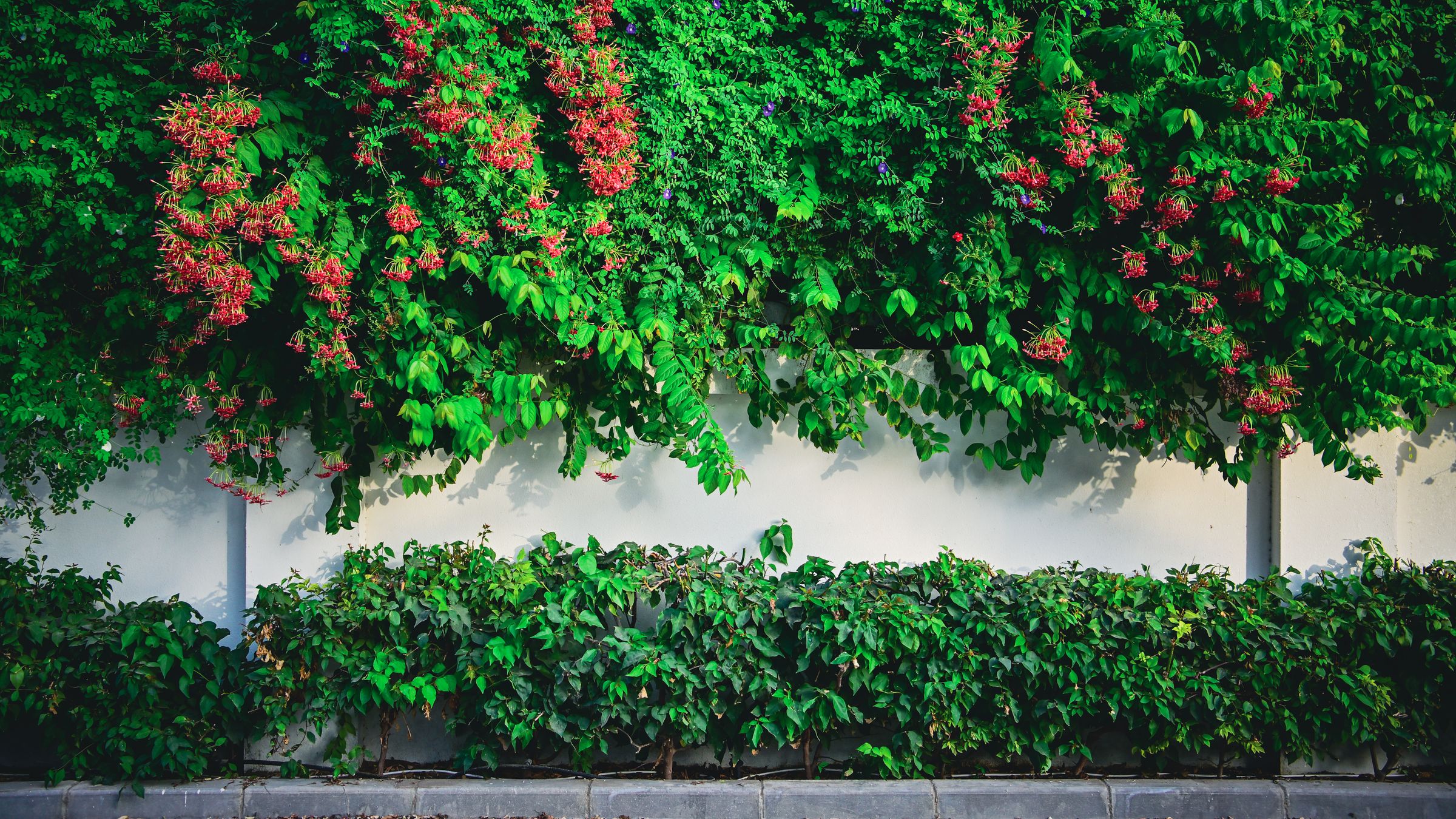 SPV Creations's image