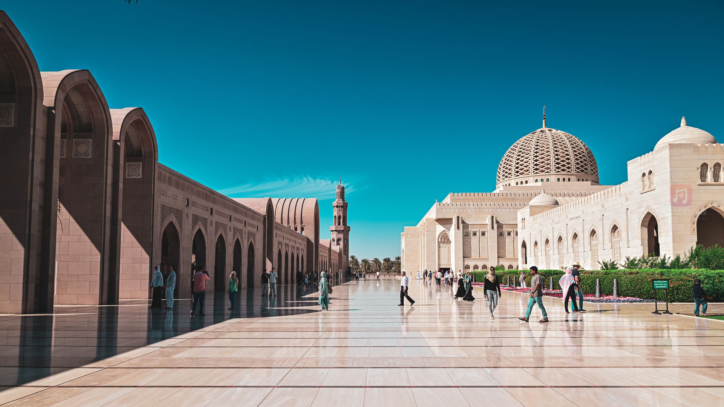 SPV Creations's image