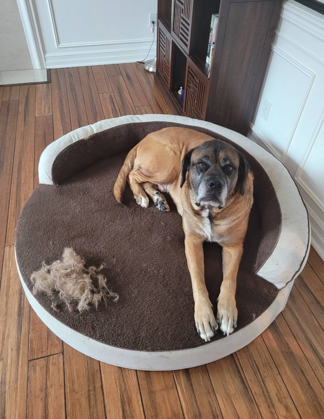 Queen V's Cleaning Service's image