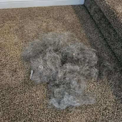 Queen V's Cleaning Service's image