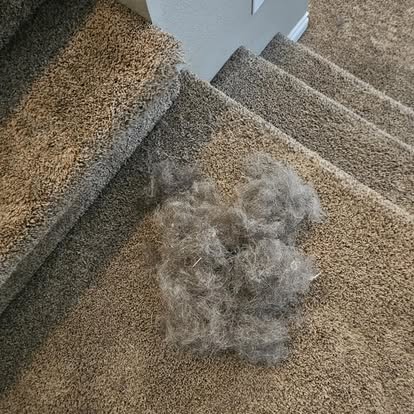 Queen V's Cleaning Service's image