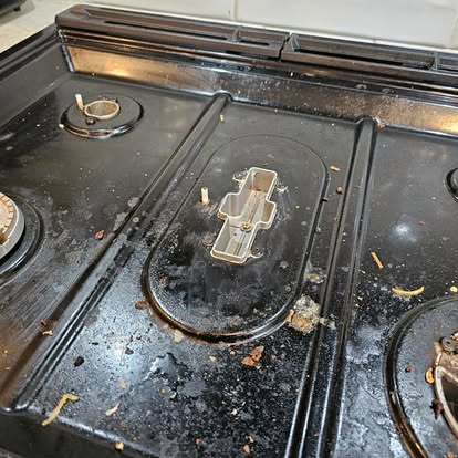 Queen V's Cleaning Service's image