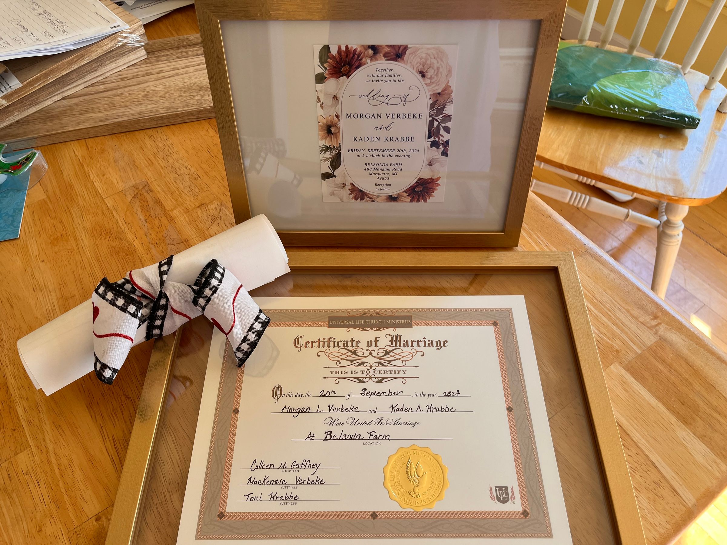 Love Is Love Wedding Officiant Serving Marquette and UP's image