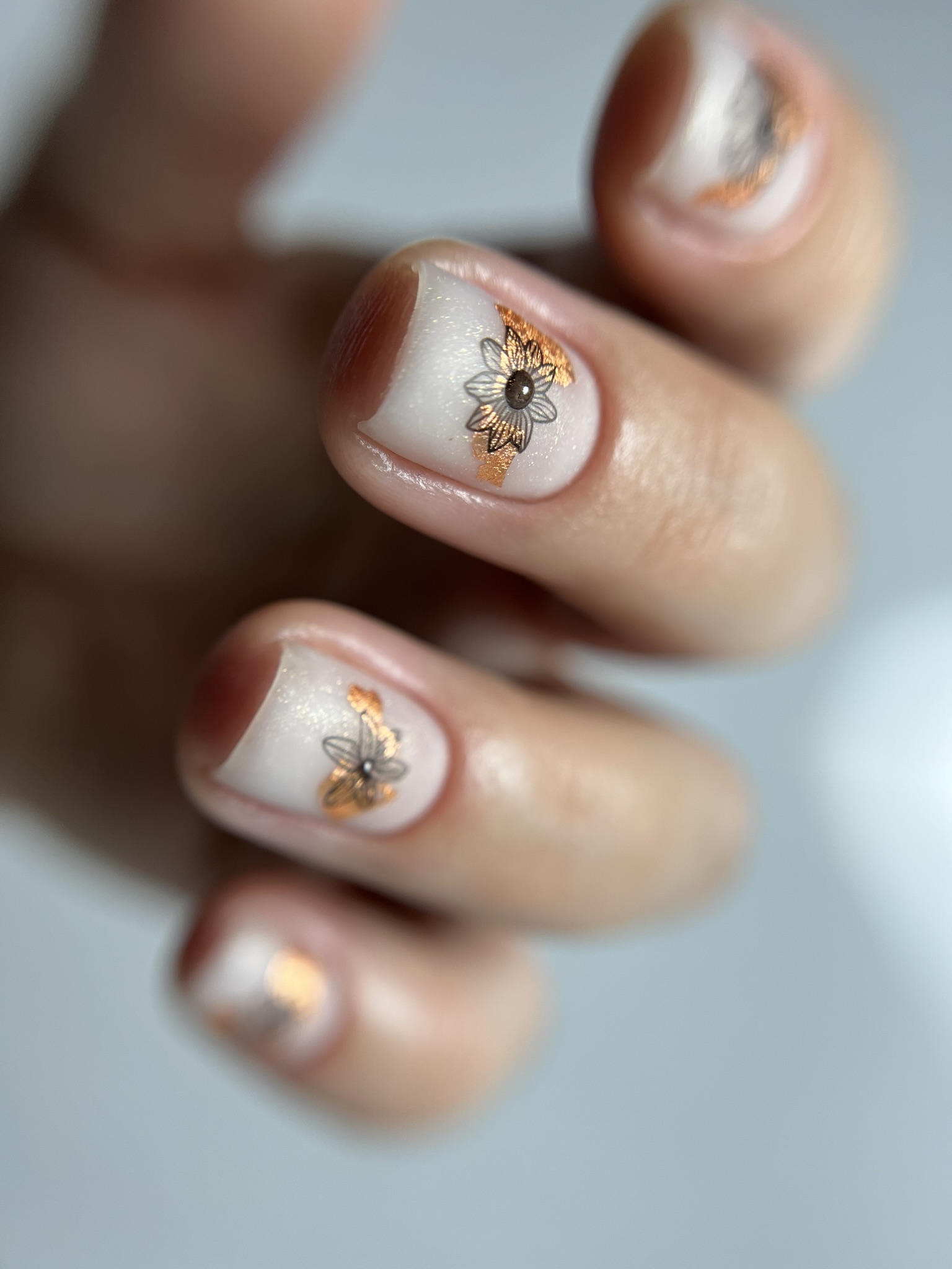 Vivid Varnish's image