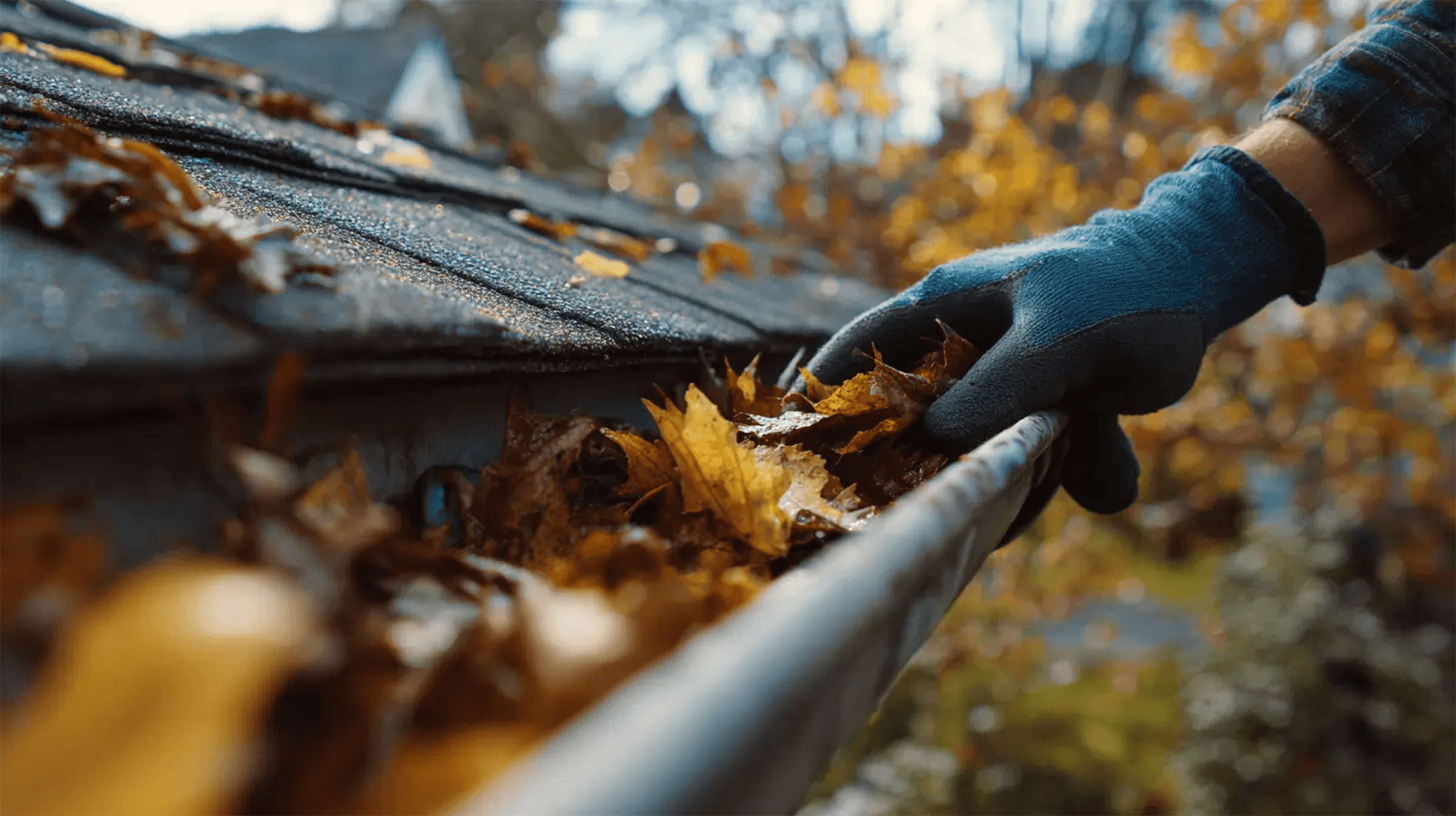 semper purum pressure washing's image