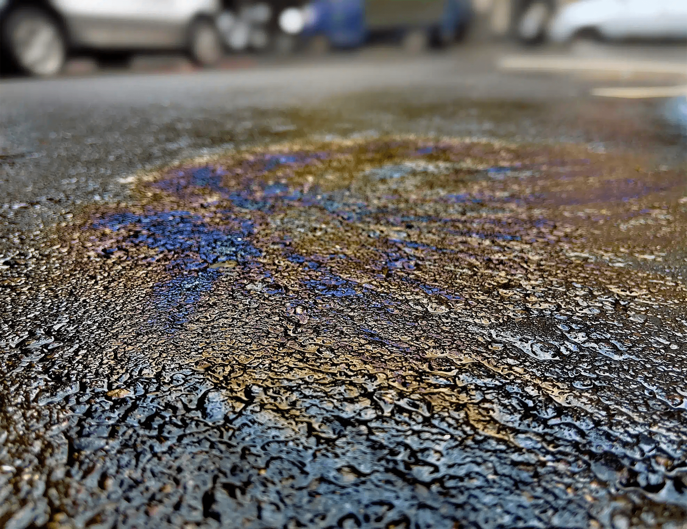 semper purum pressure washing's image