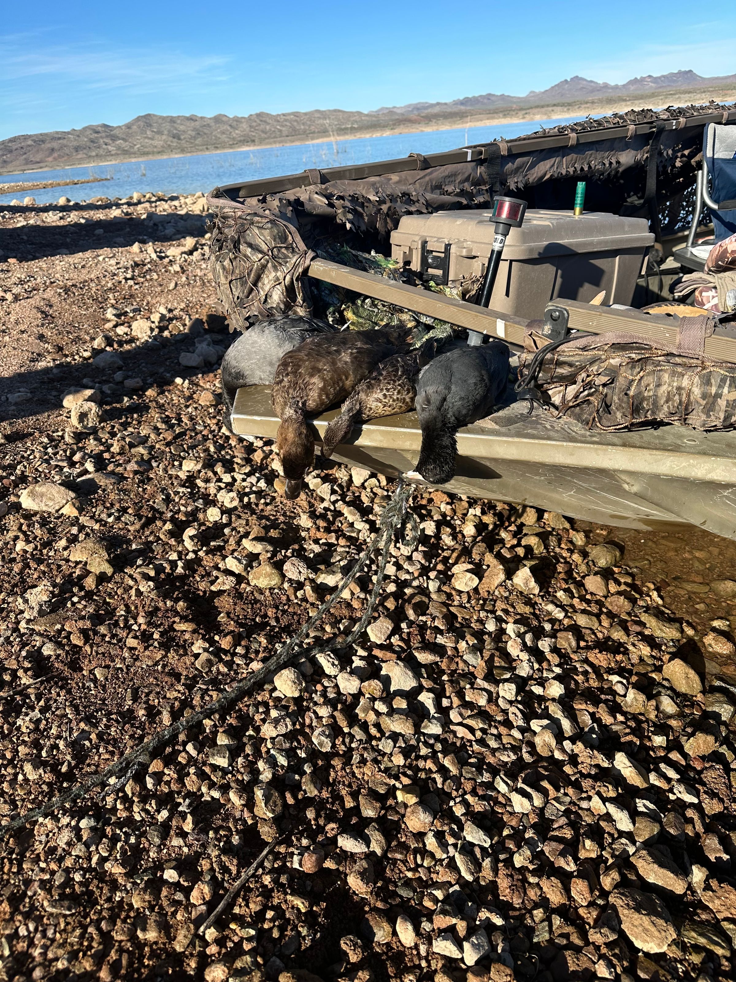 M.O.S Veteran Adventures's image