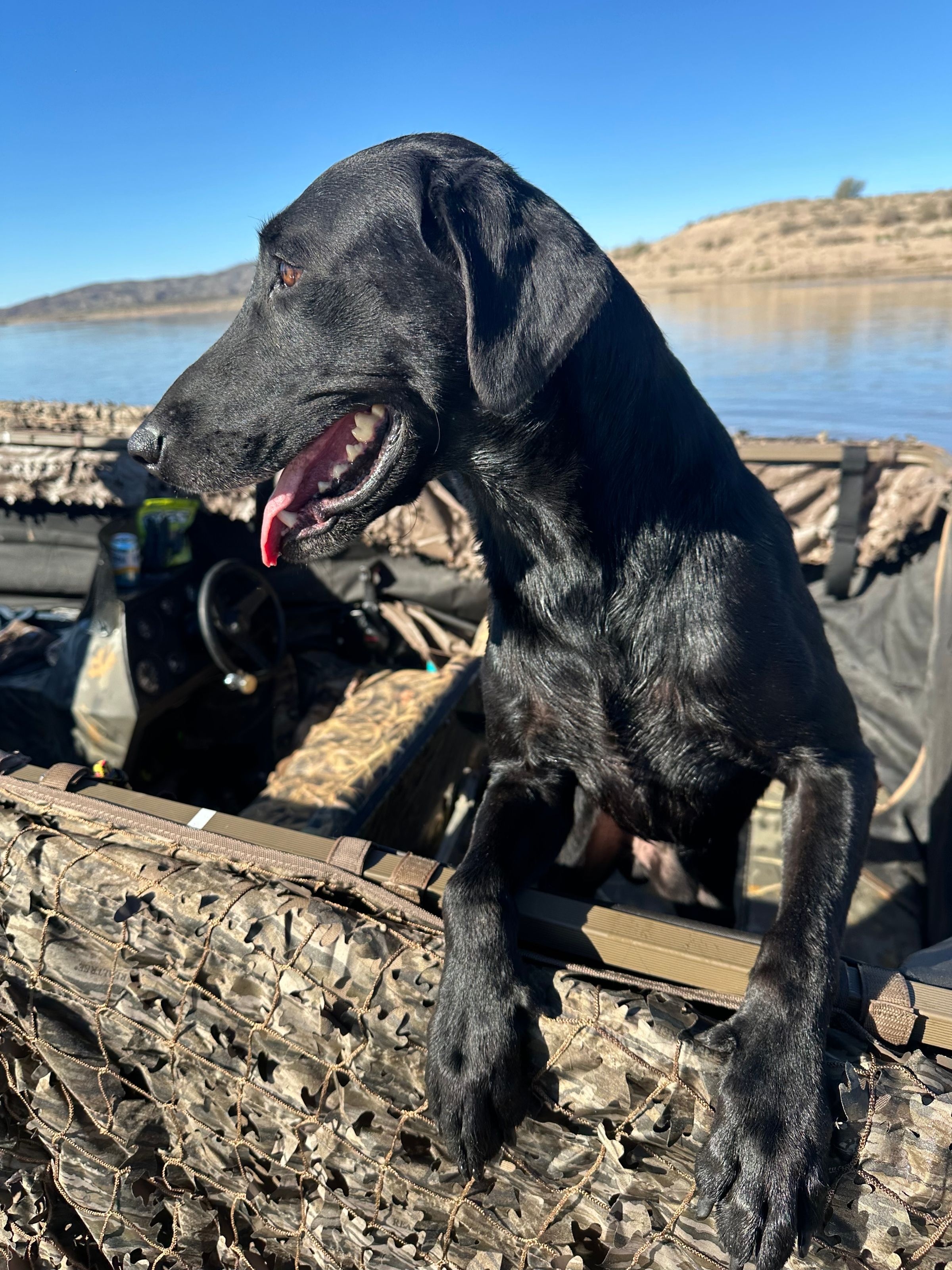 M.O.S Veteran Adventures's image