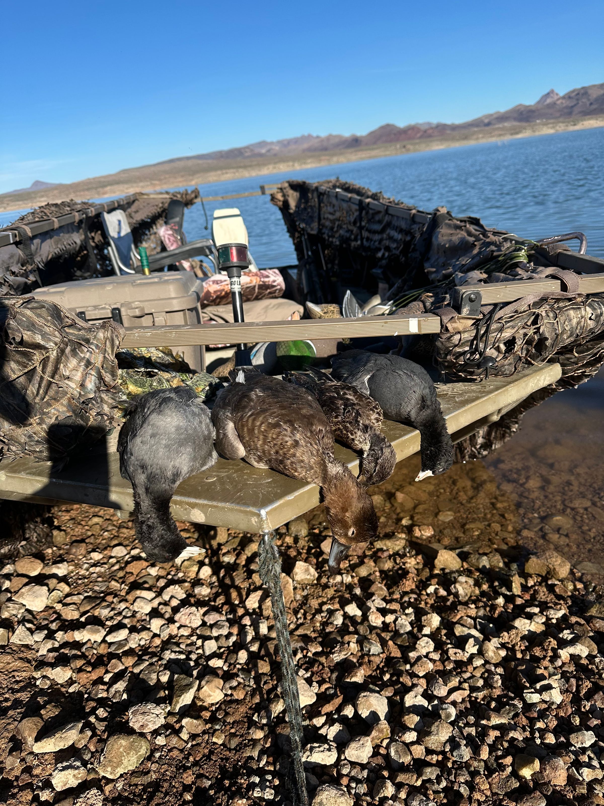 M.O.S Veteran Adventures's image