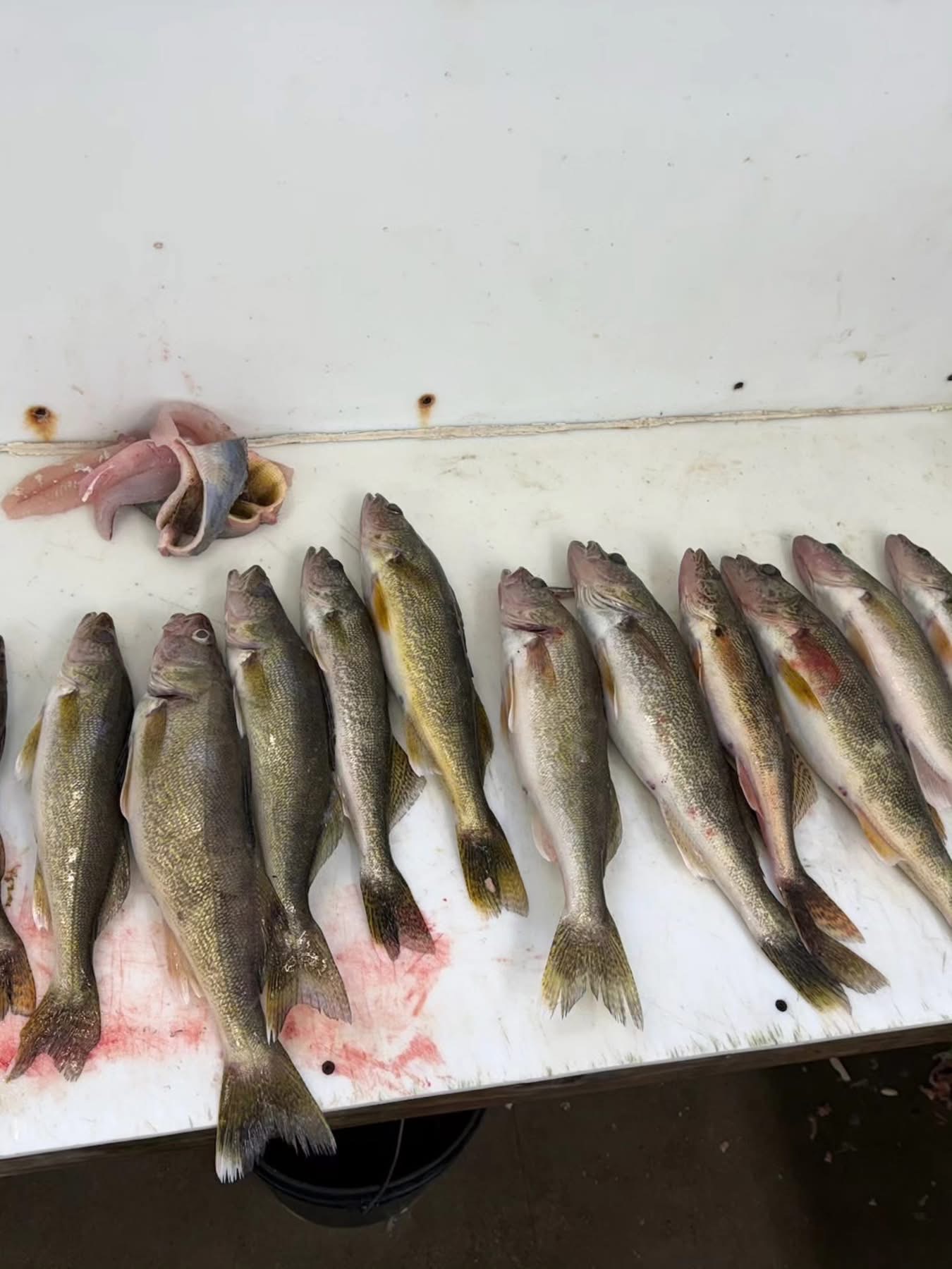 M.O.S Veteran Adventures's image