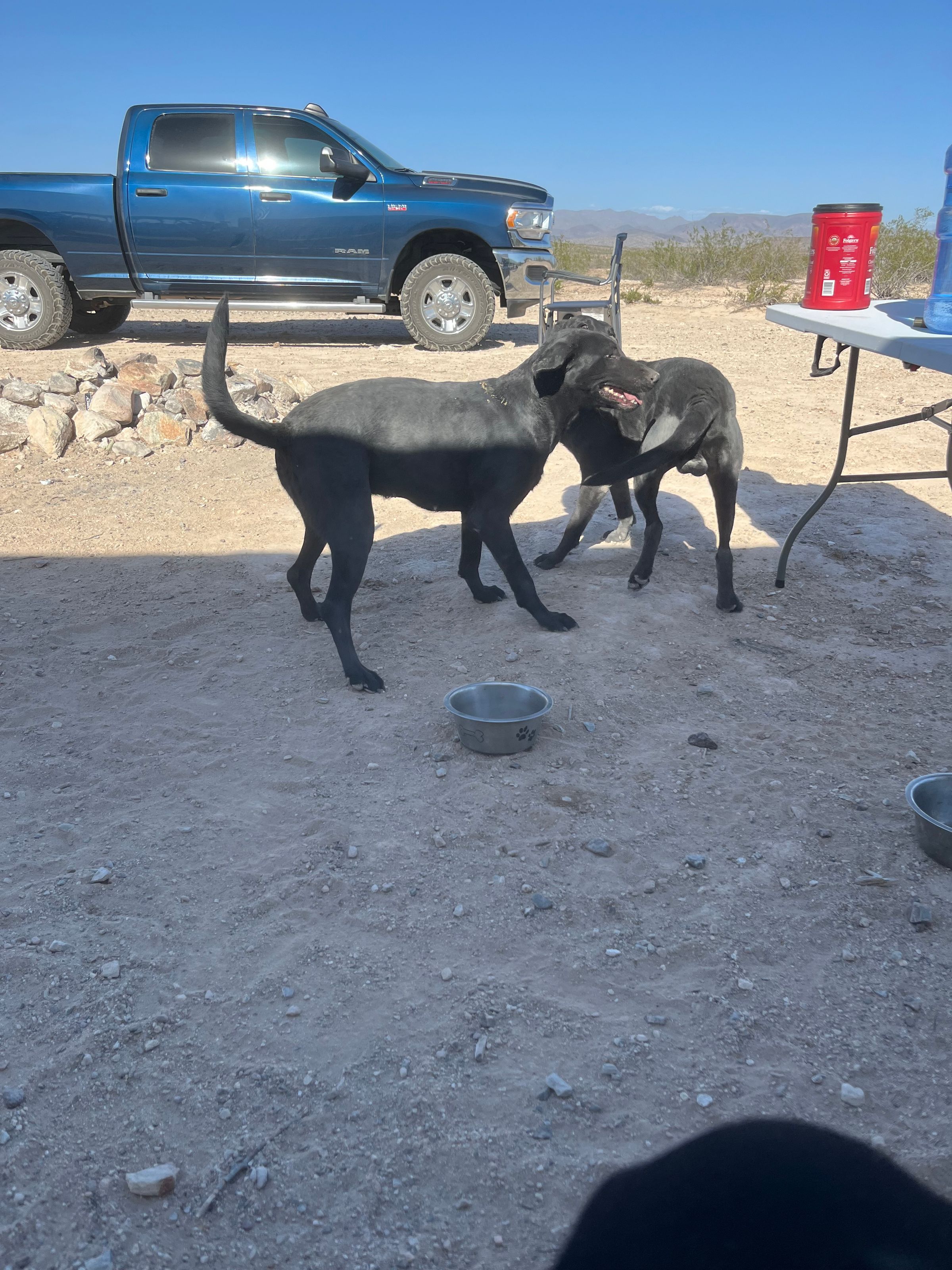 M.O.S Veteran Adventures's image