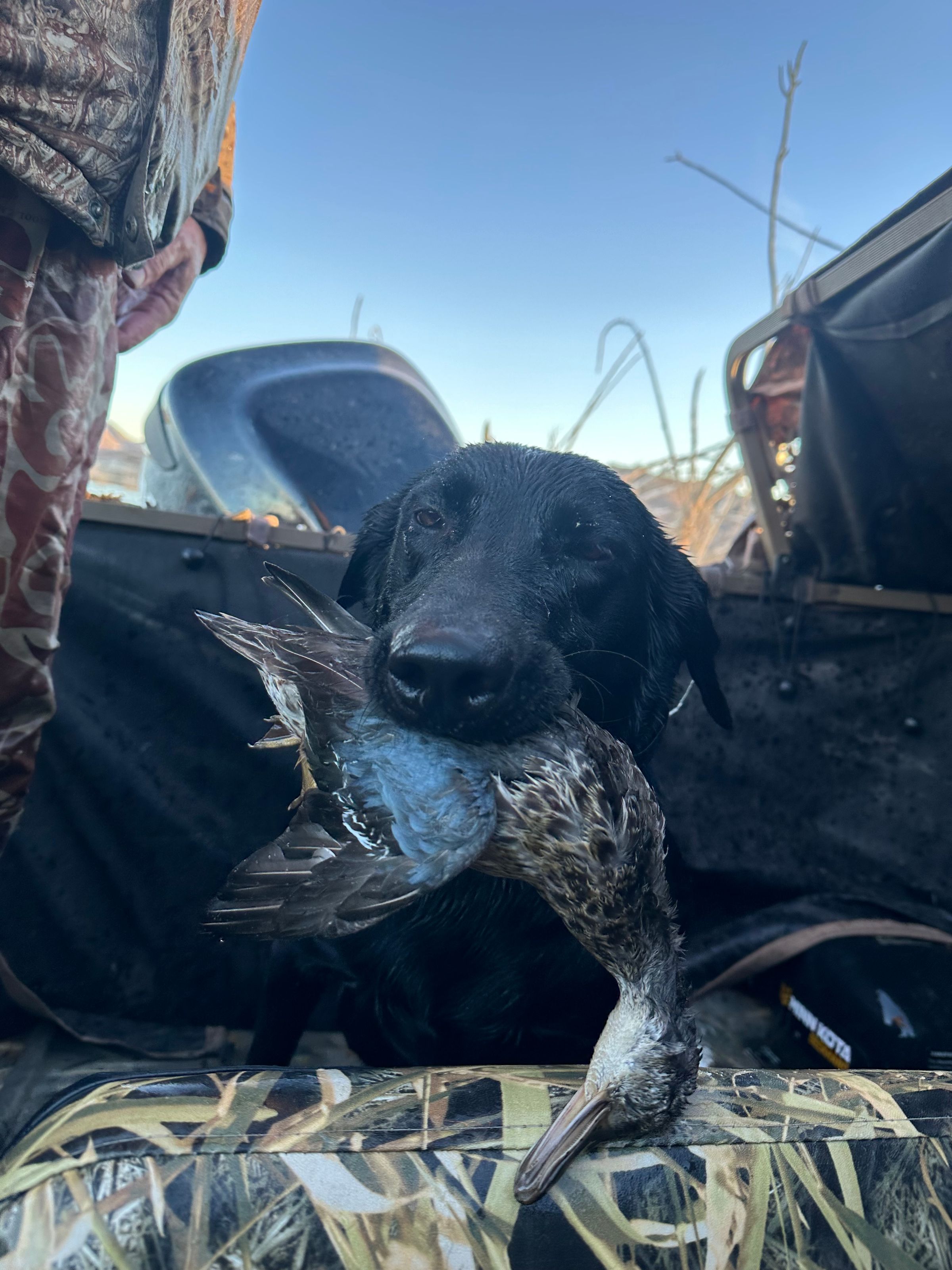 M.O.S Veteran Adventures's image