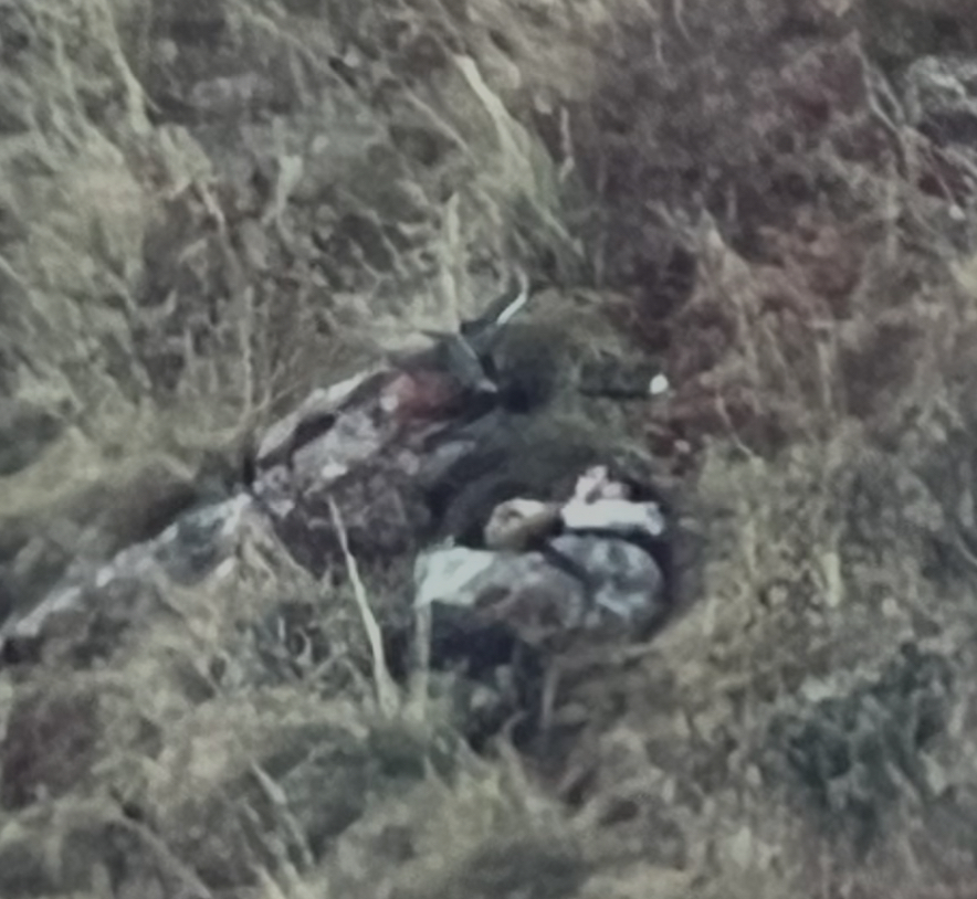 M.O.S Veteran Adventures's image