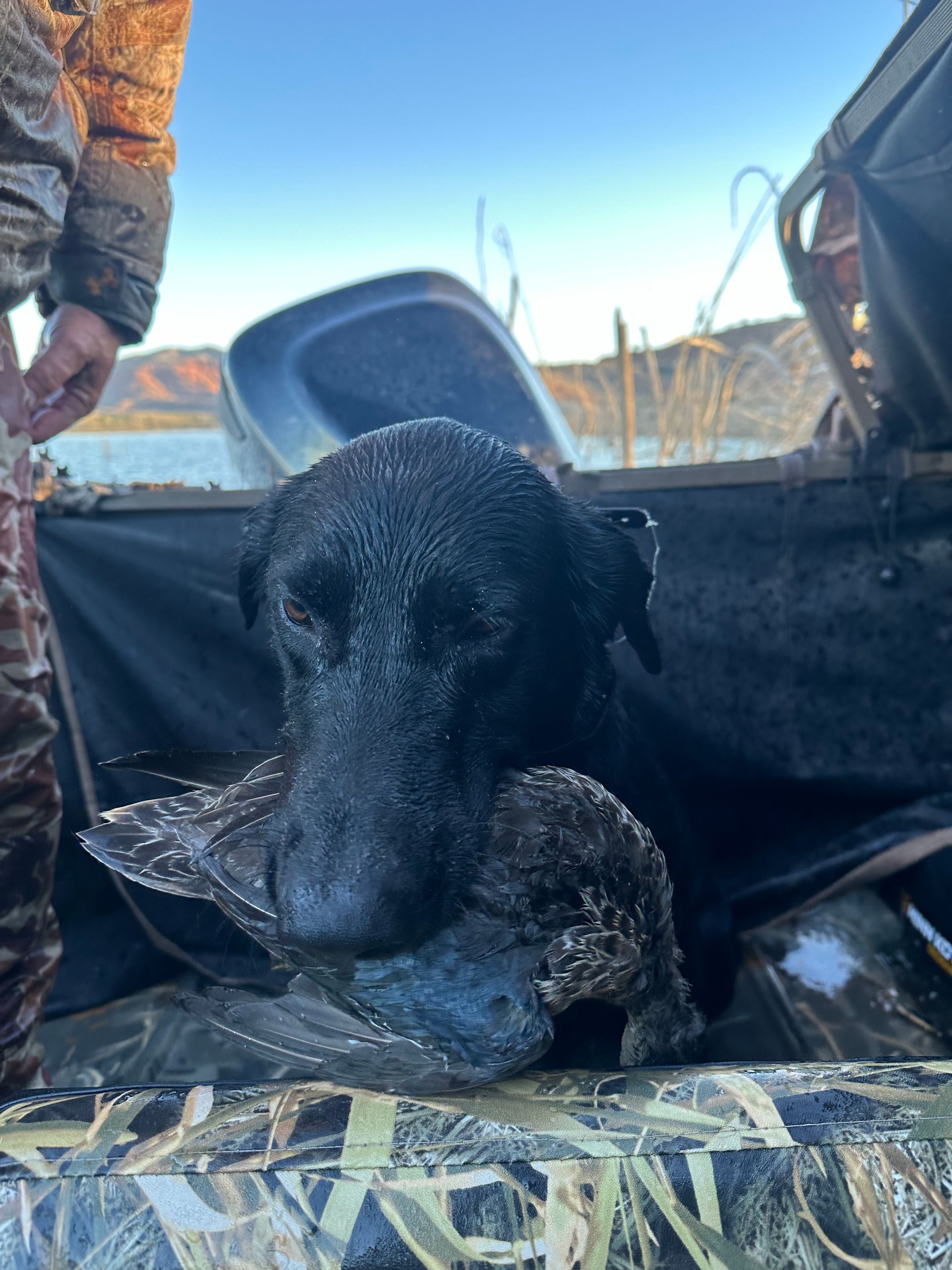 M.O.S Veteran Adventures's image