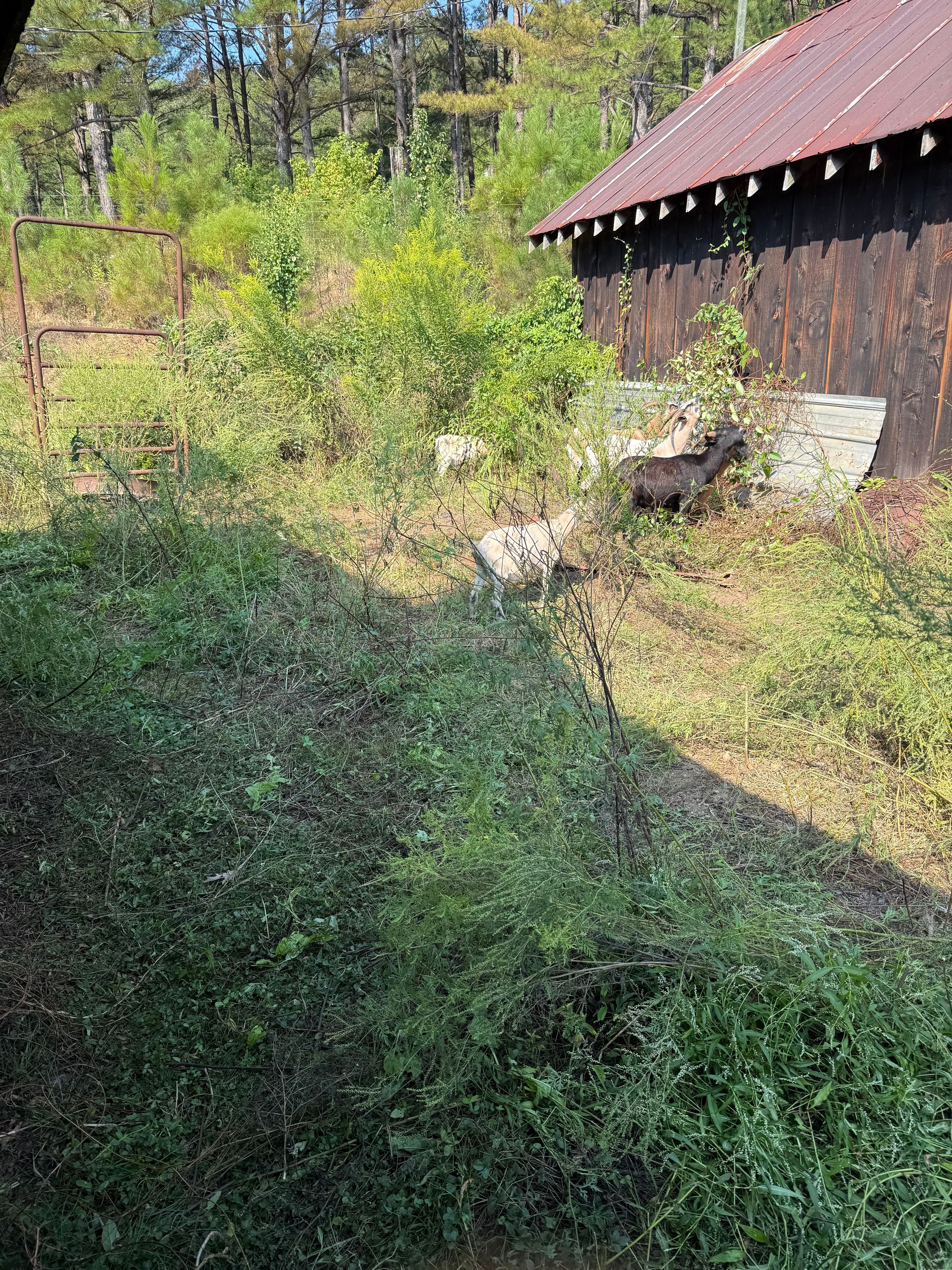 B&B FarmLife LLC's image