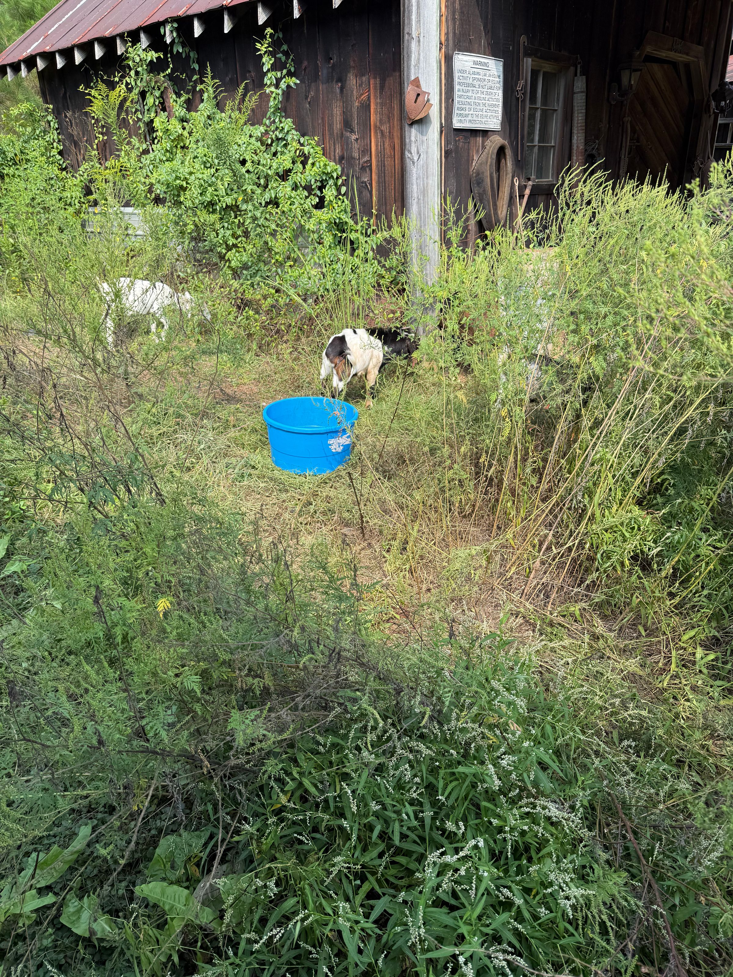 B&B FarmLife LLC's image