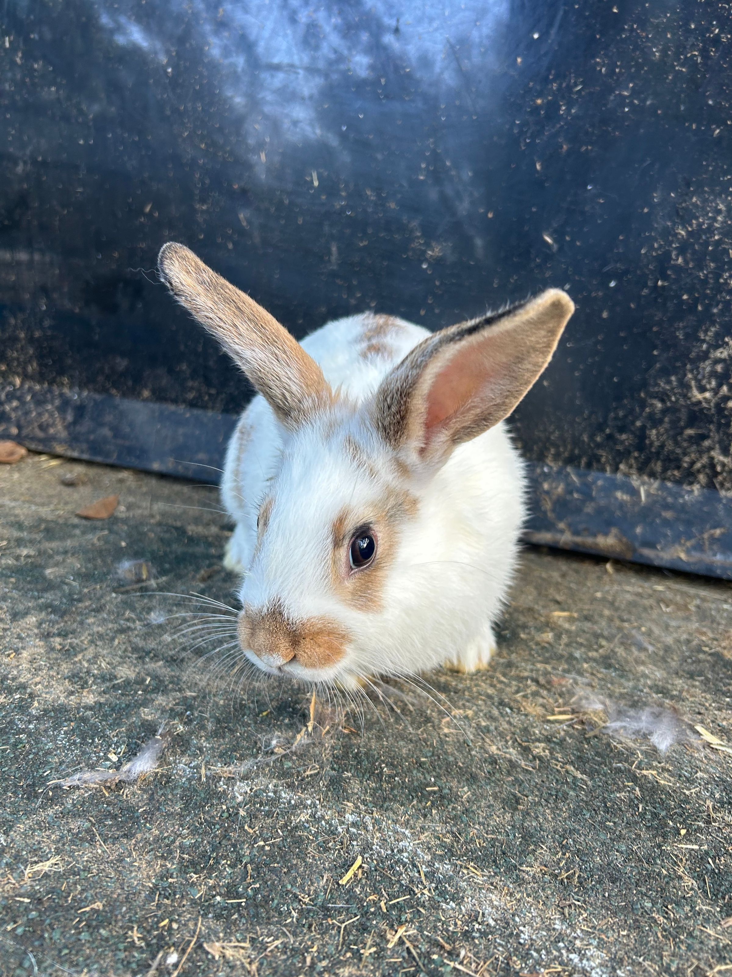 B&B FarmLife LLC's image