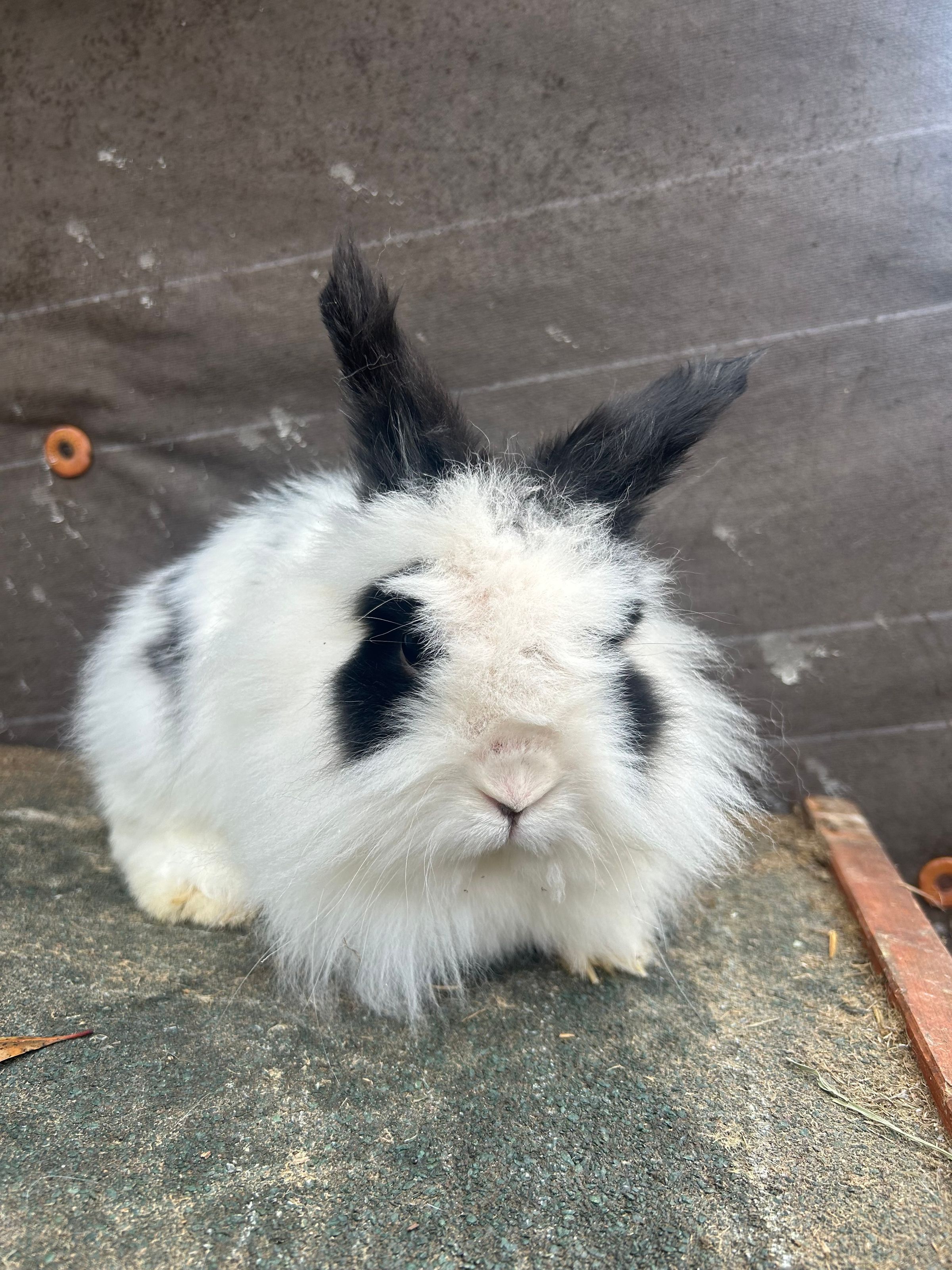 B&B FarmLife LLC's image