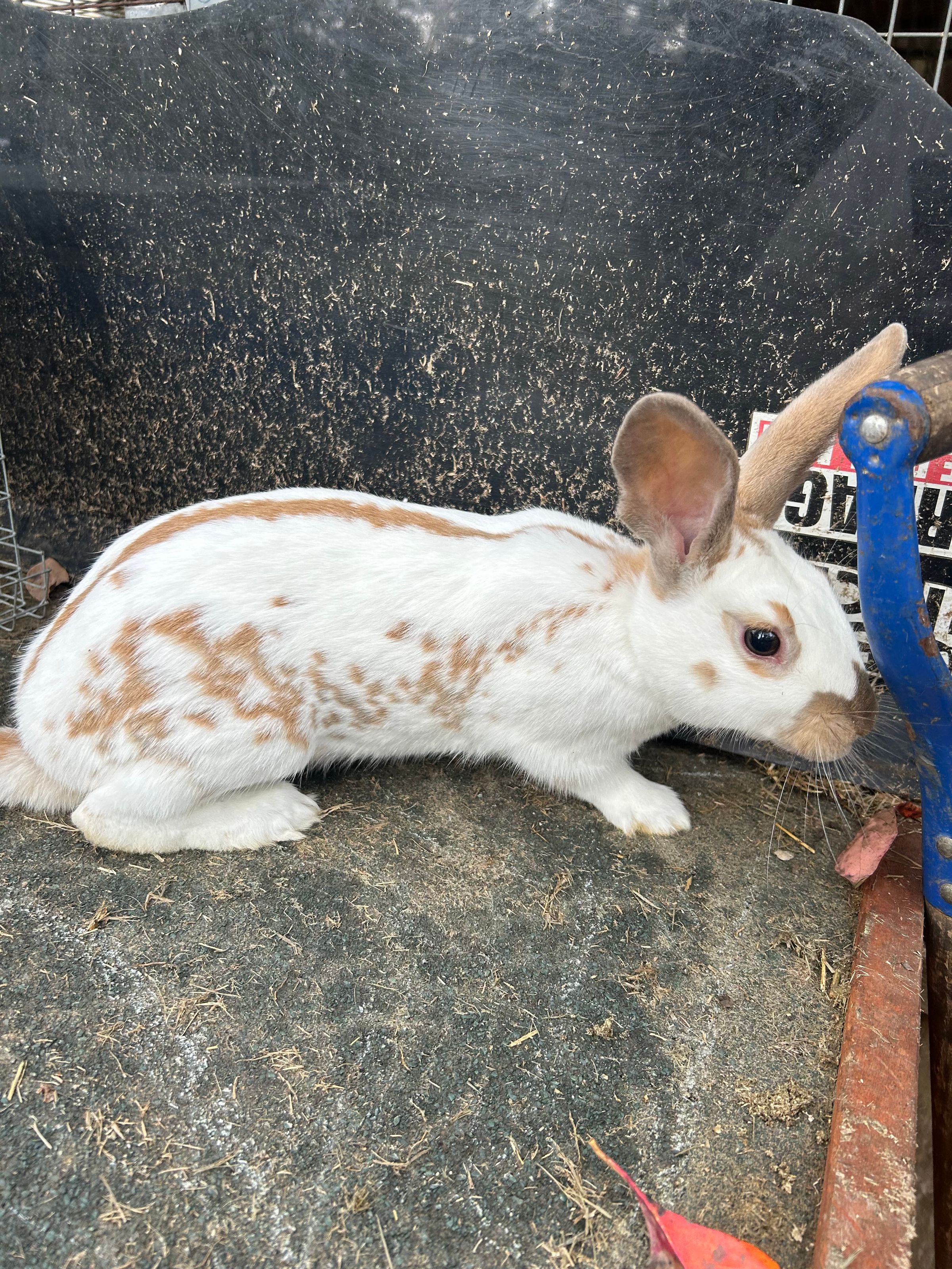 B&B FarmLife LLC's image