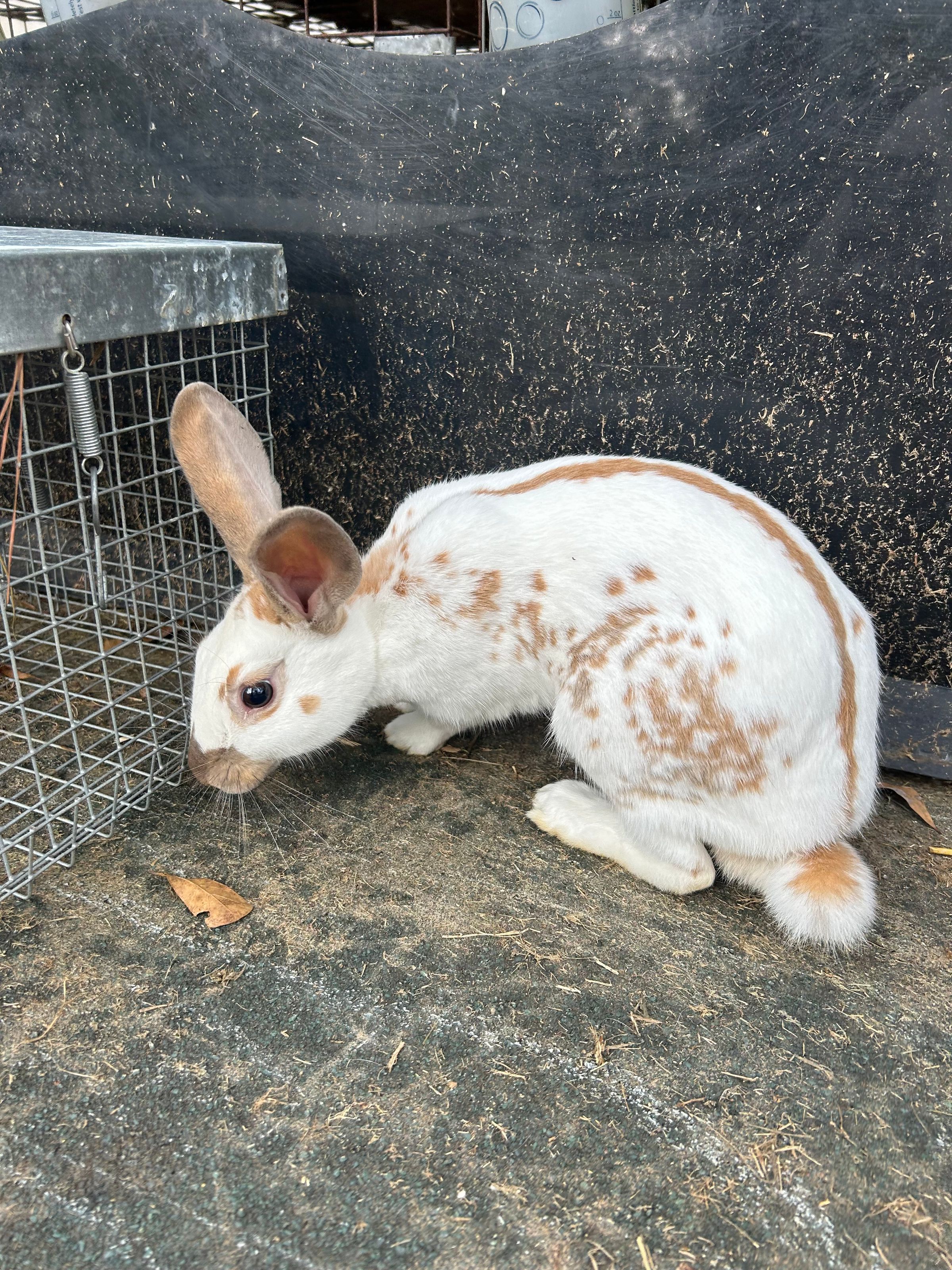 B&B FarmLife LLC's image