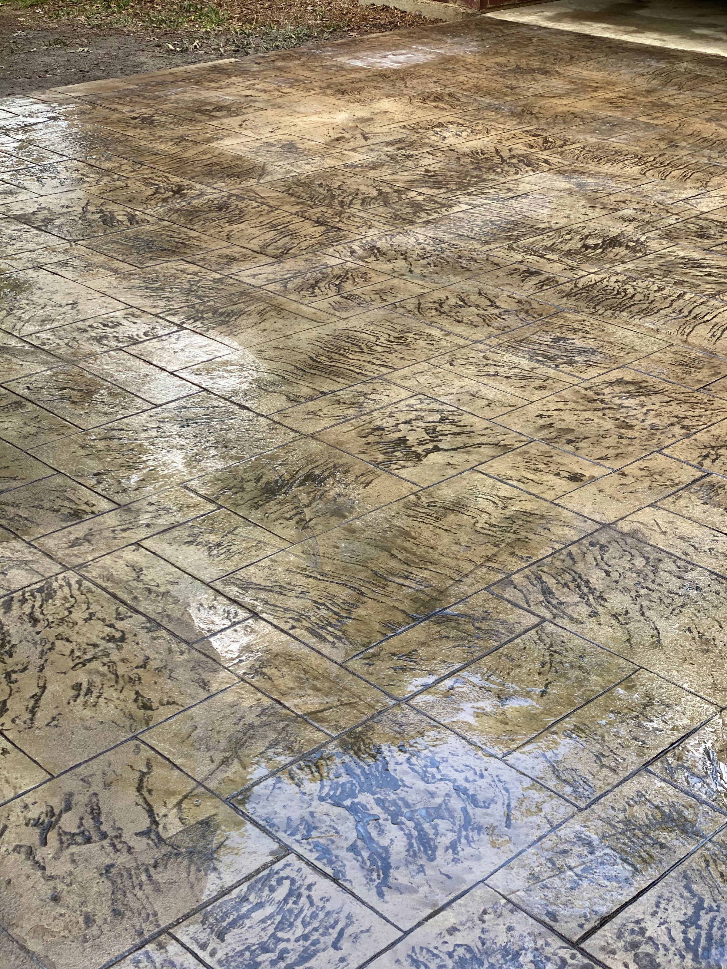 ConcreaturesLLC 's image