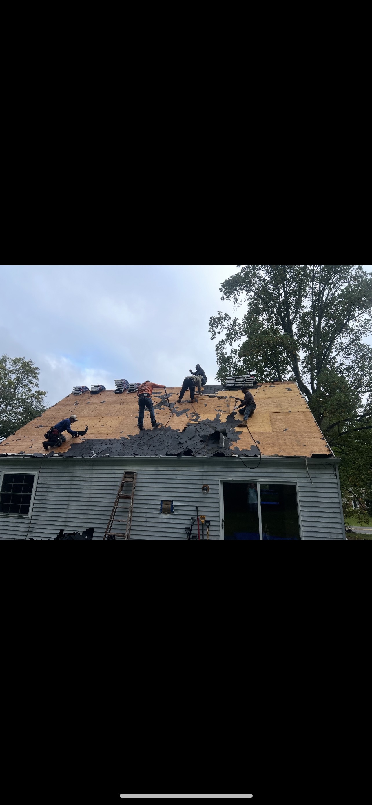 Shingle Roof Replacement